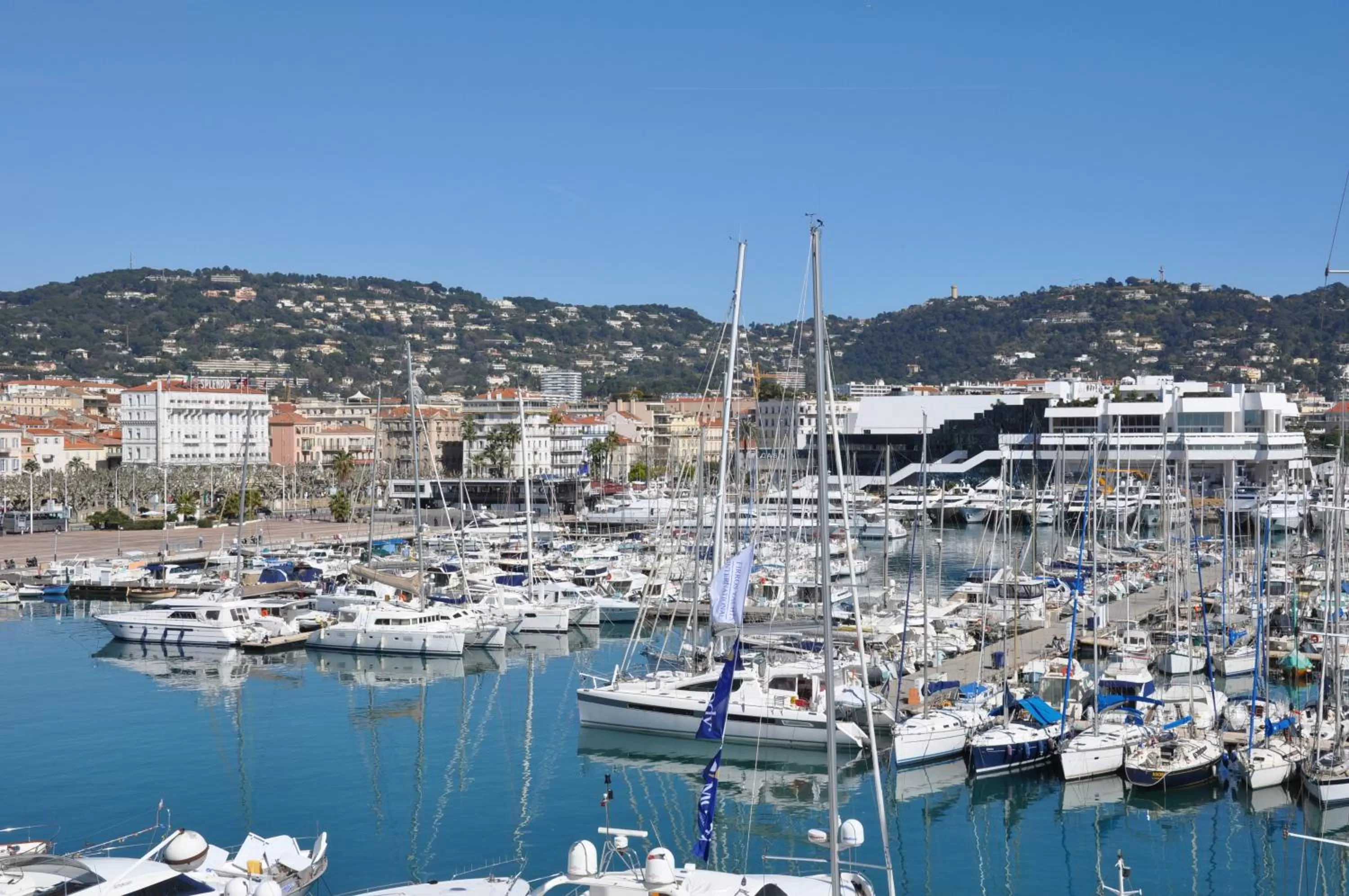 Area and facilities in Hotel Splendid