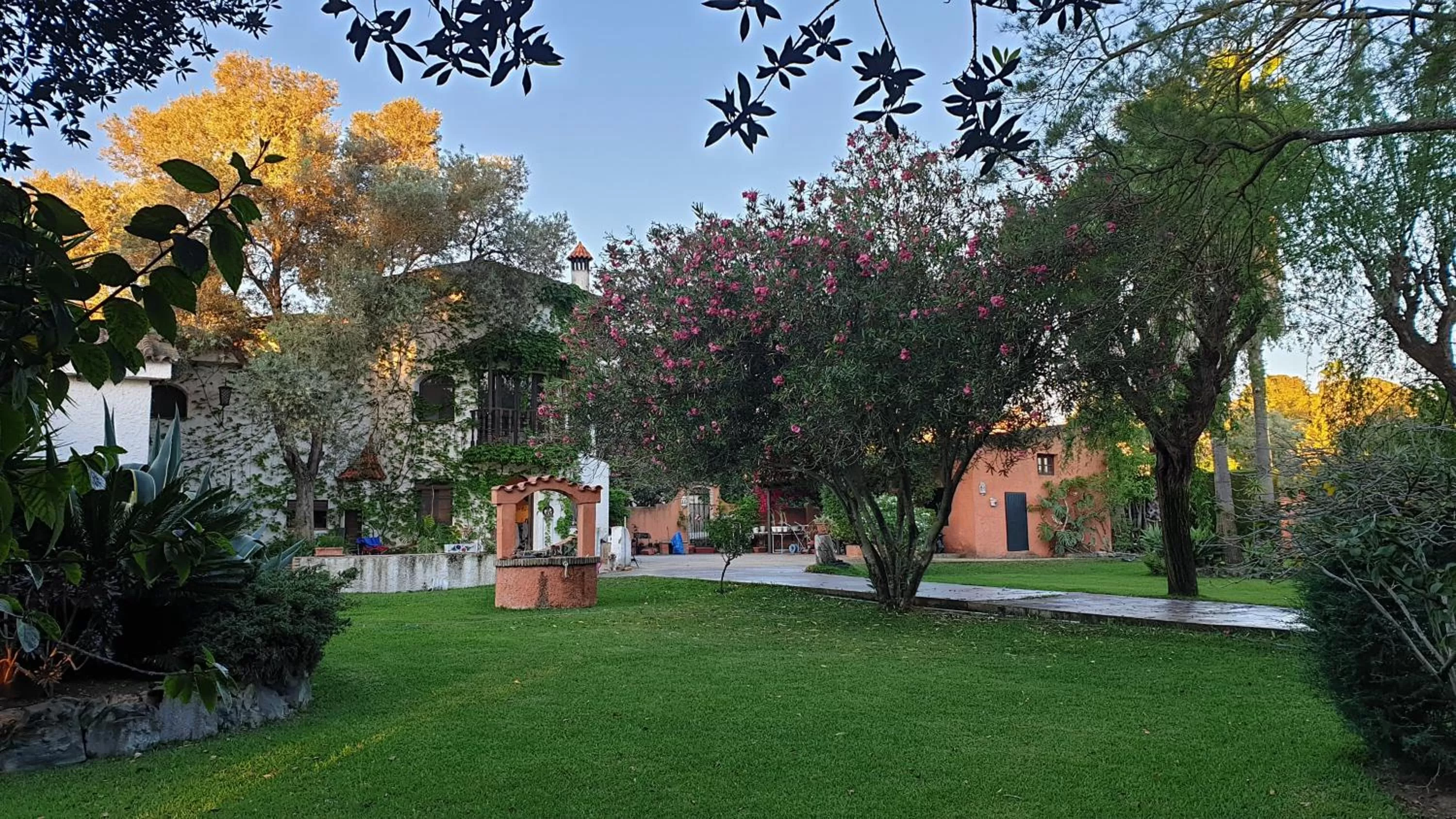 Garden in La Casa del Torreón