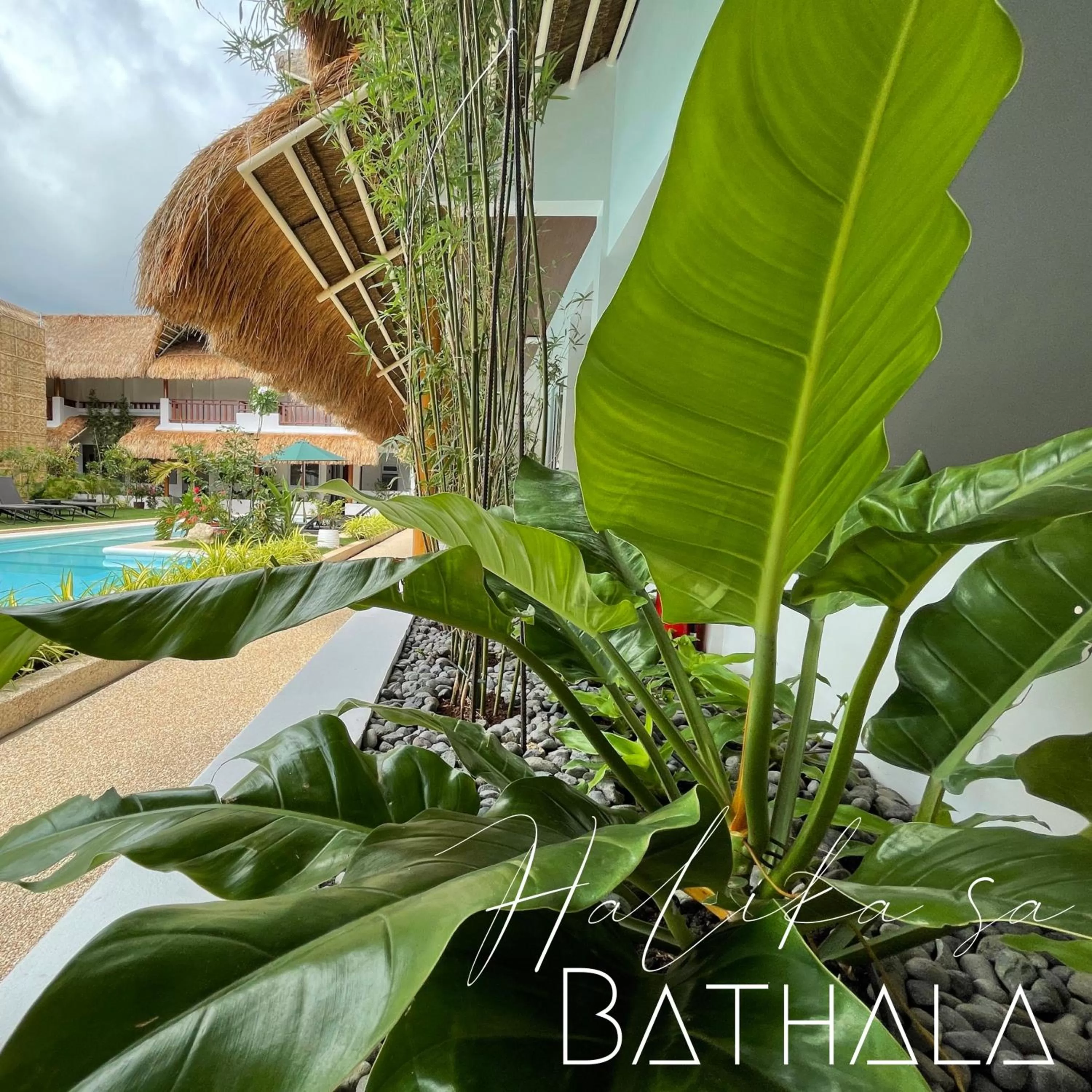 Garden in Bathala Resort