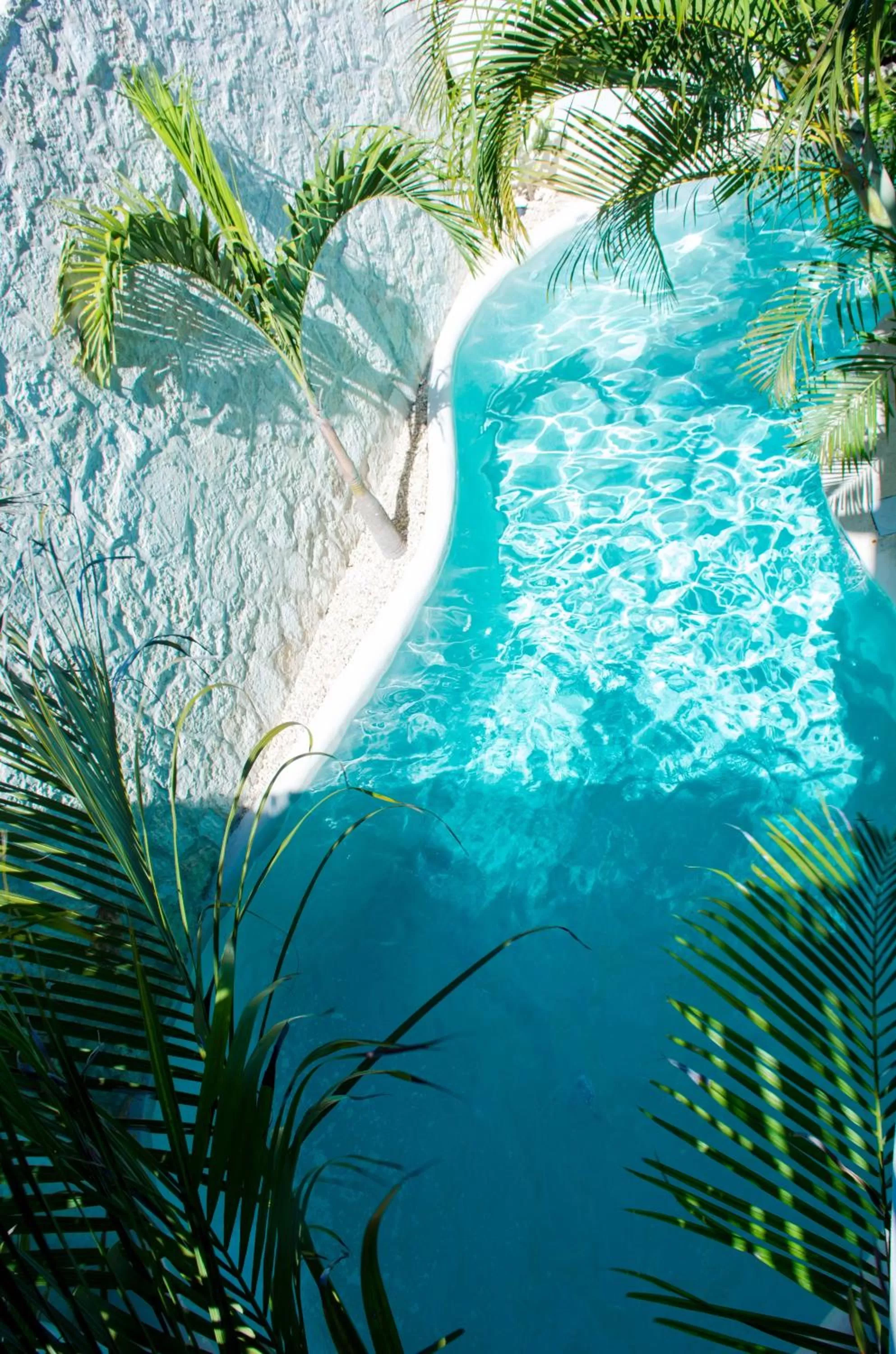 Swimming pool in Pacha Tulum Boutique Hotel