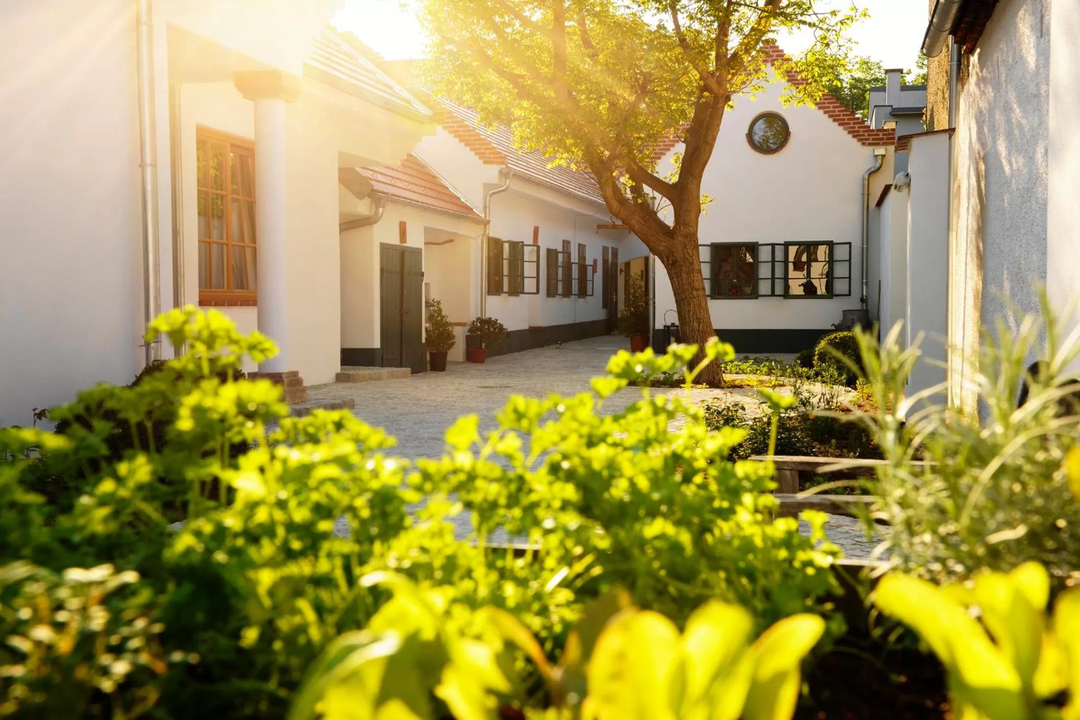 Balcony/Terrace in Genuss Am Hof