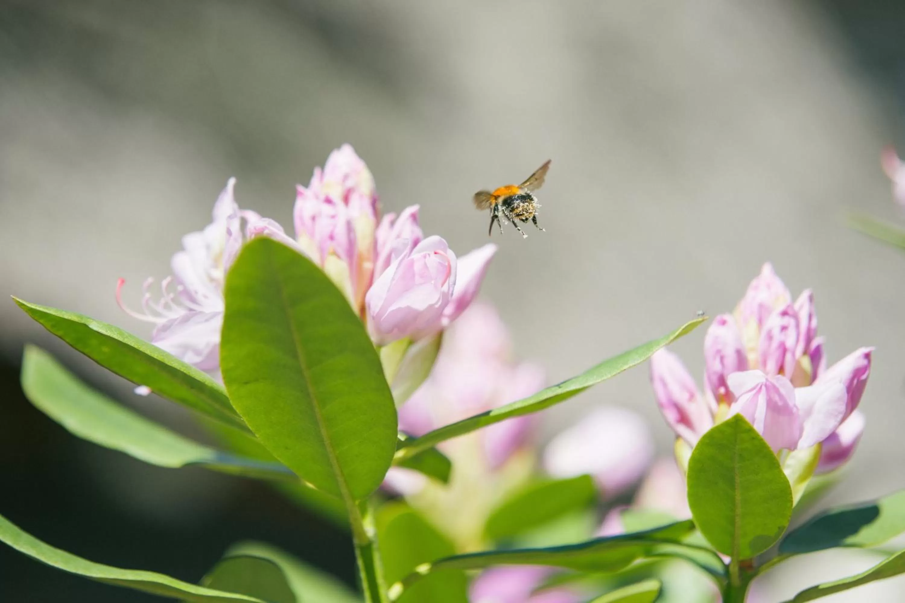 Day in Hotel Landhaus Höpen