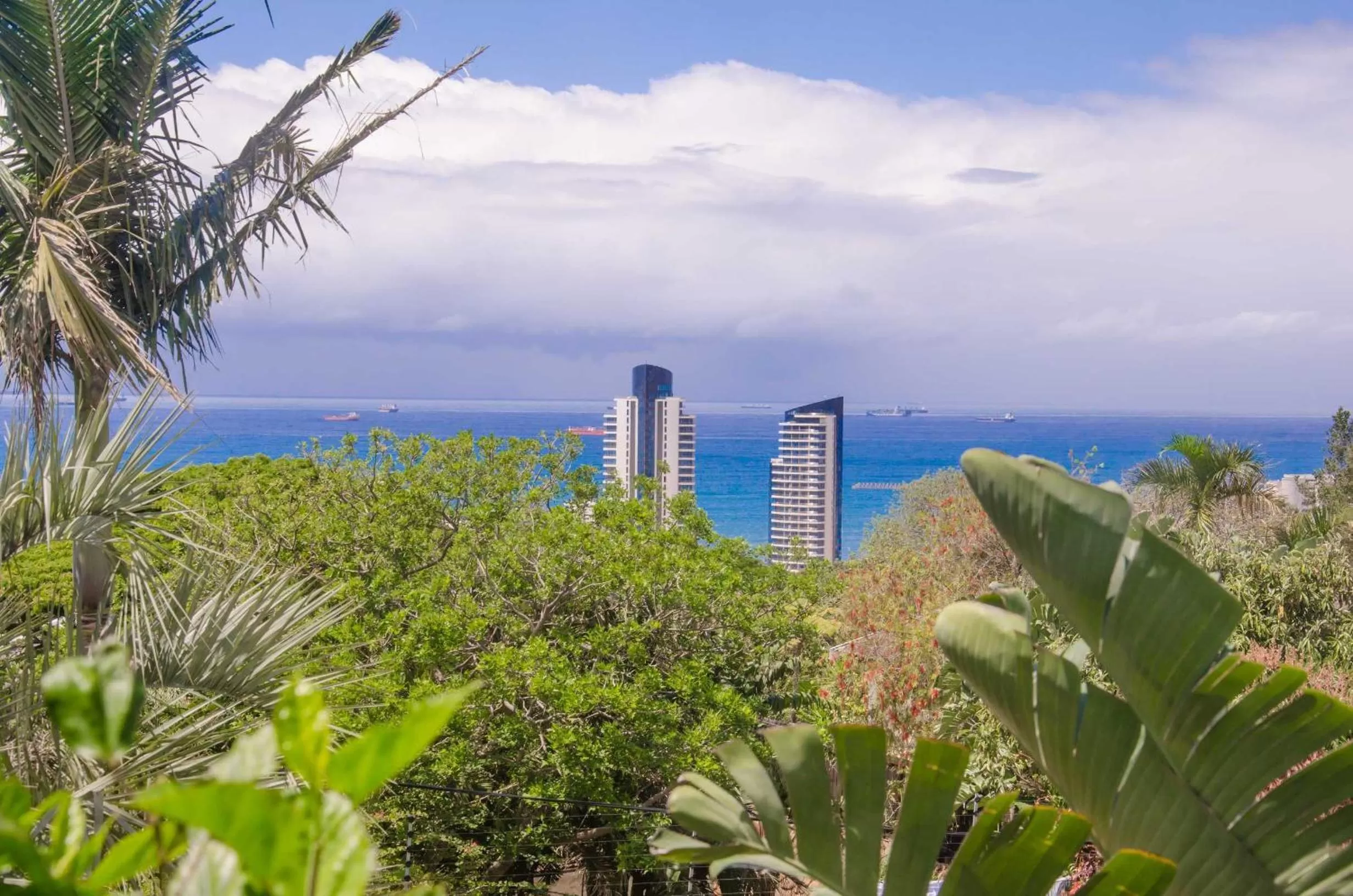 Natural landscape in Addis Bed and Breakfast