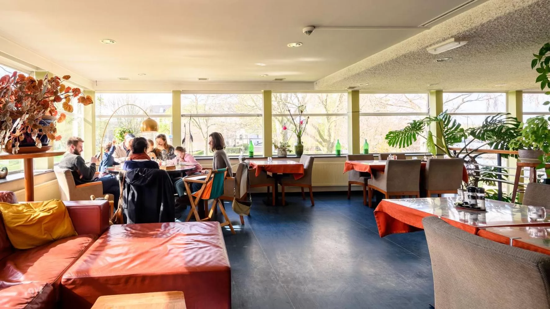 Restaurant/places to eat in Pension Homeland