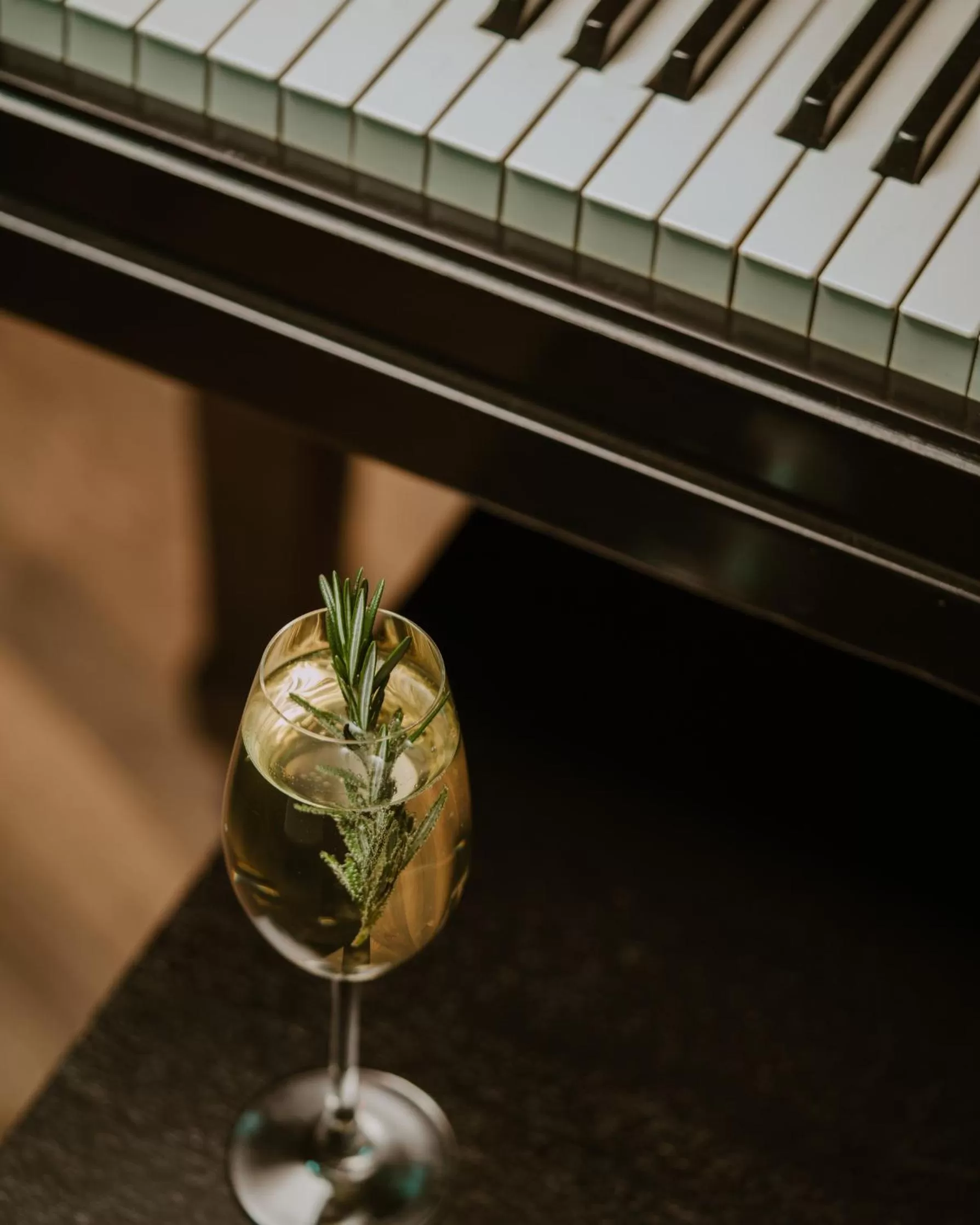 Lounge or bar in Domaine Jolivent