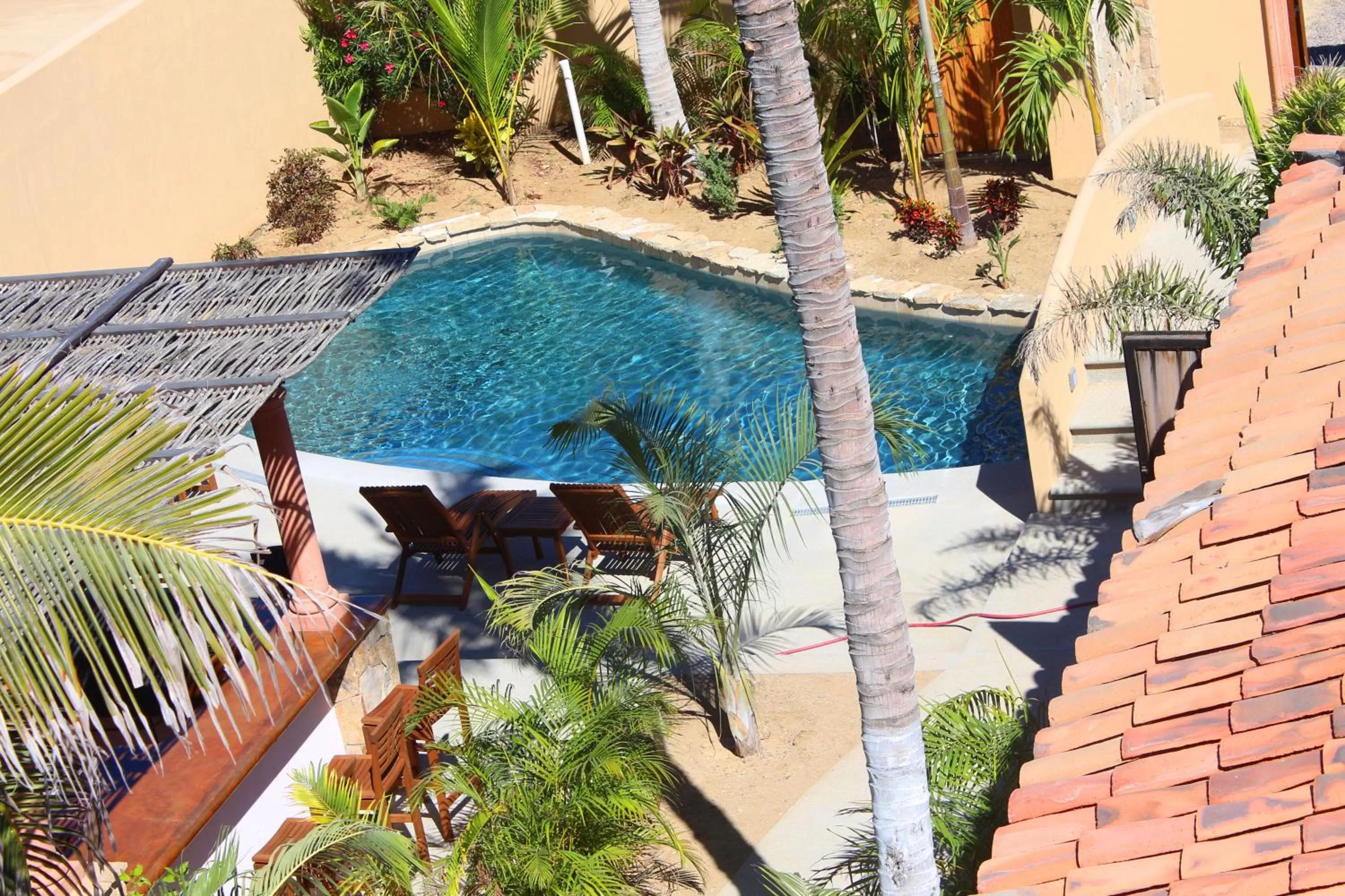 Swimming pool in Cerritos Beach Inn