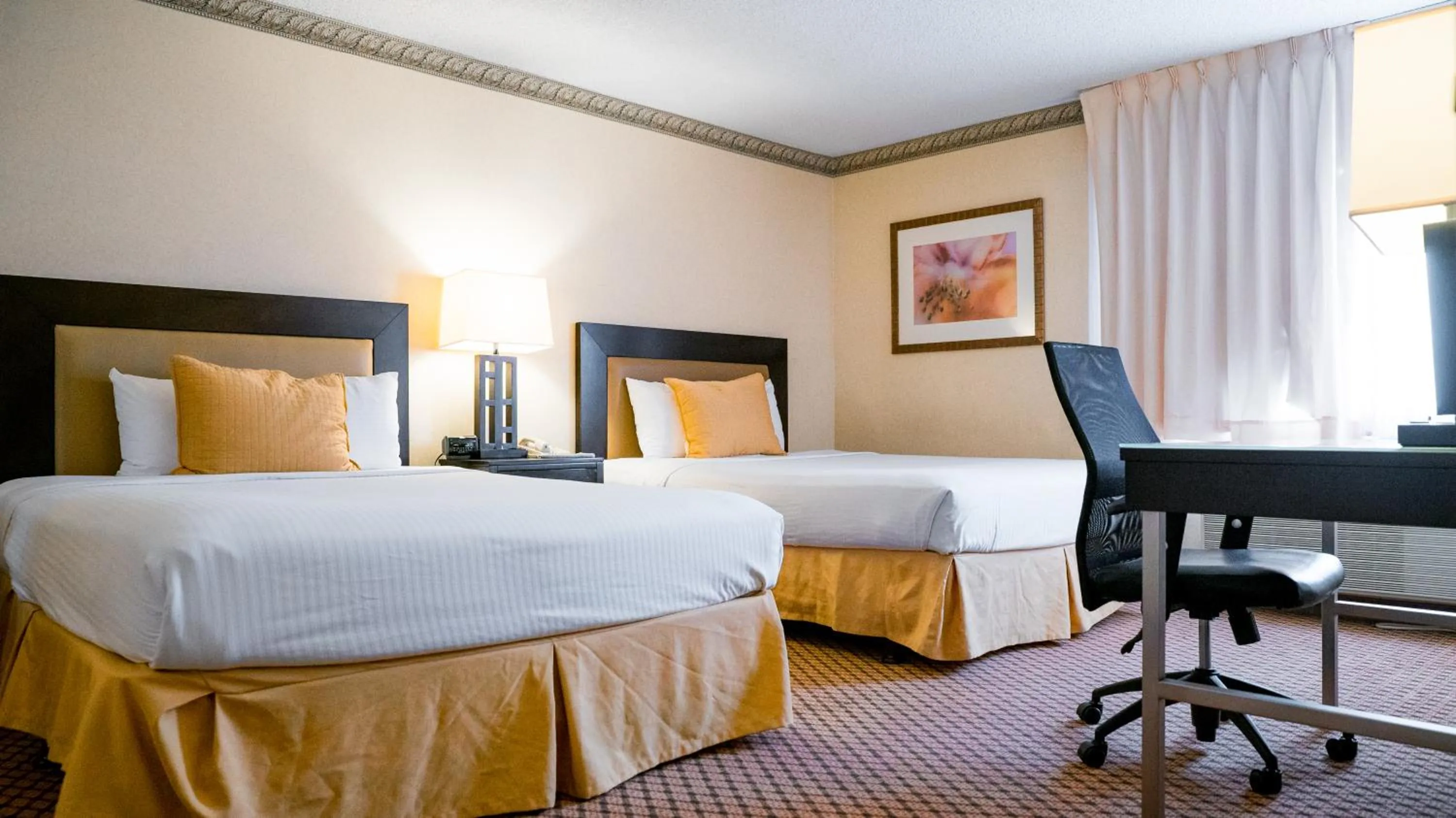 Bed in Motel 6 - Anaheim Hills, CA