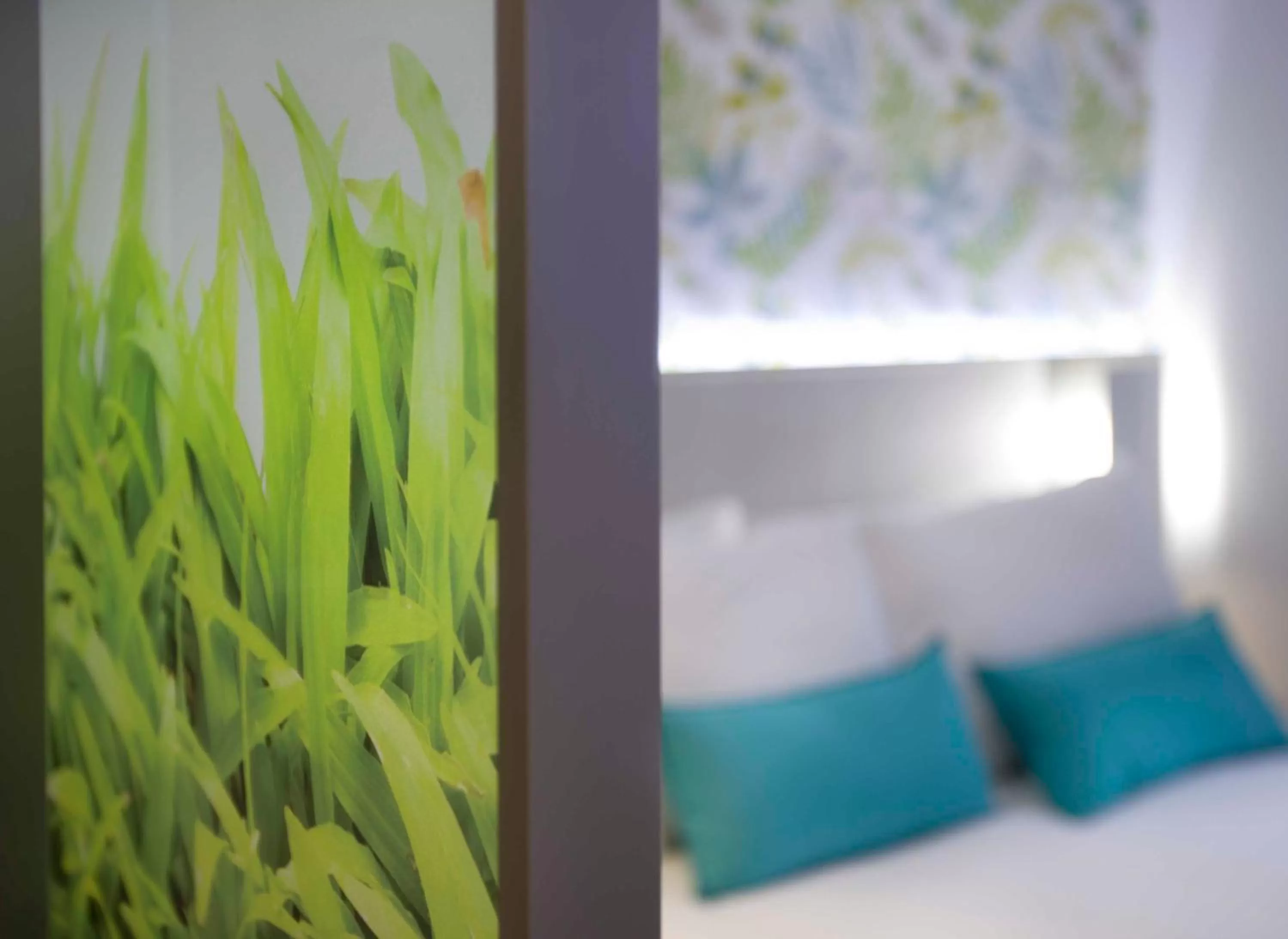 Other, Bed in Salamanca Suite Studios