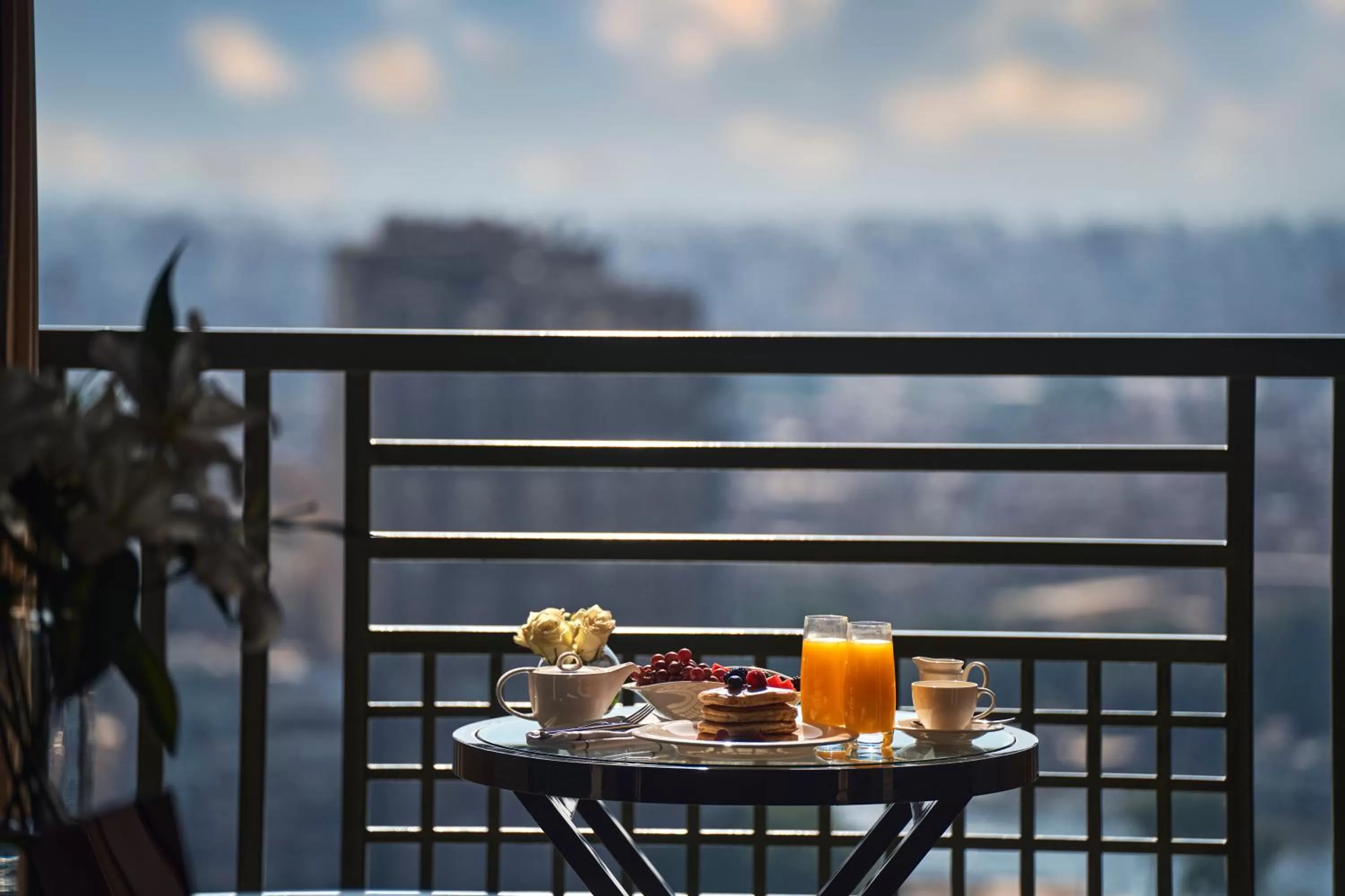 View (from property/room) in Fairmont Nile City