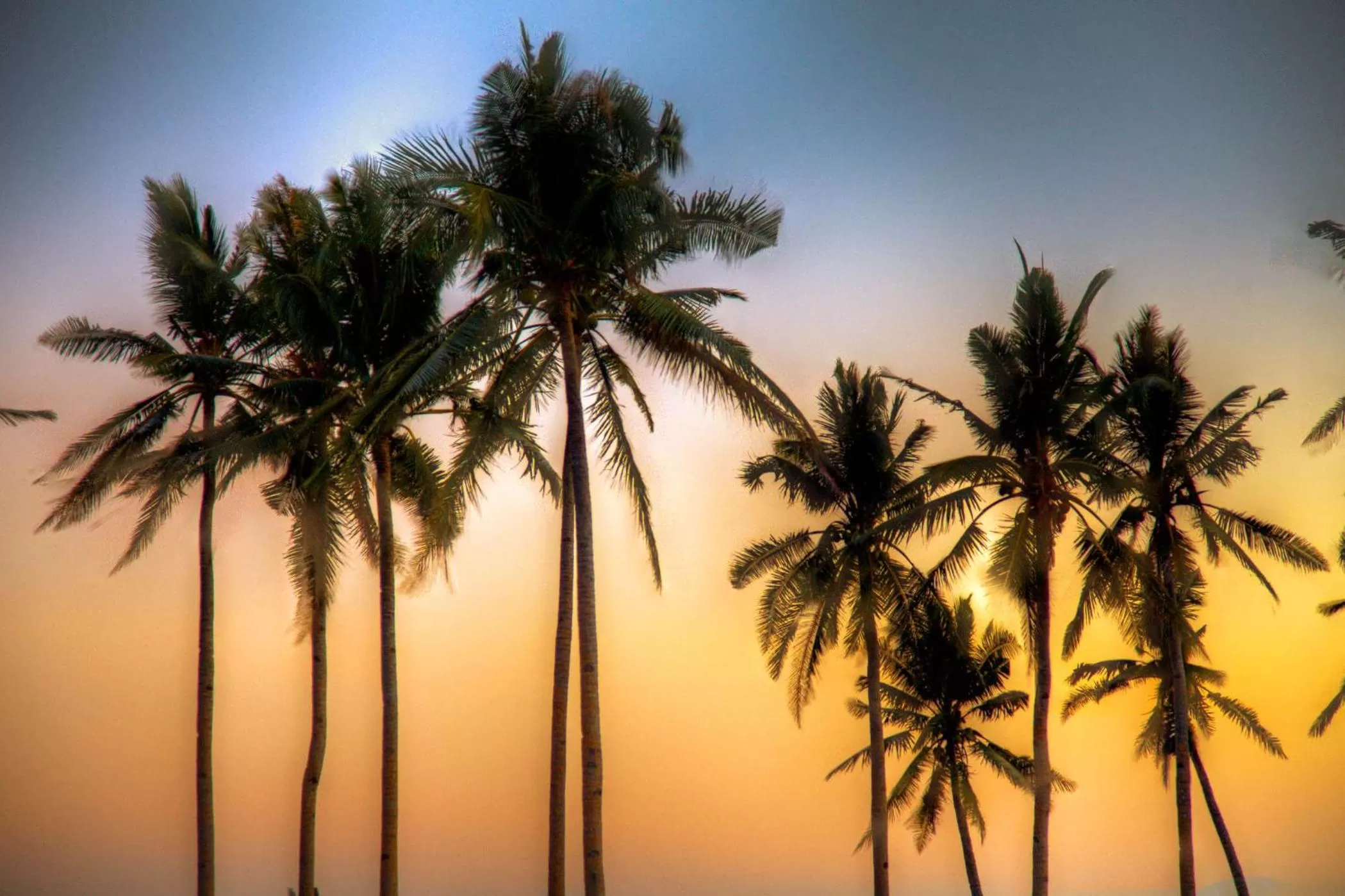 Activities in Kandaya Resort