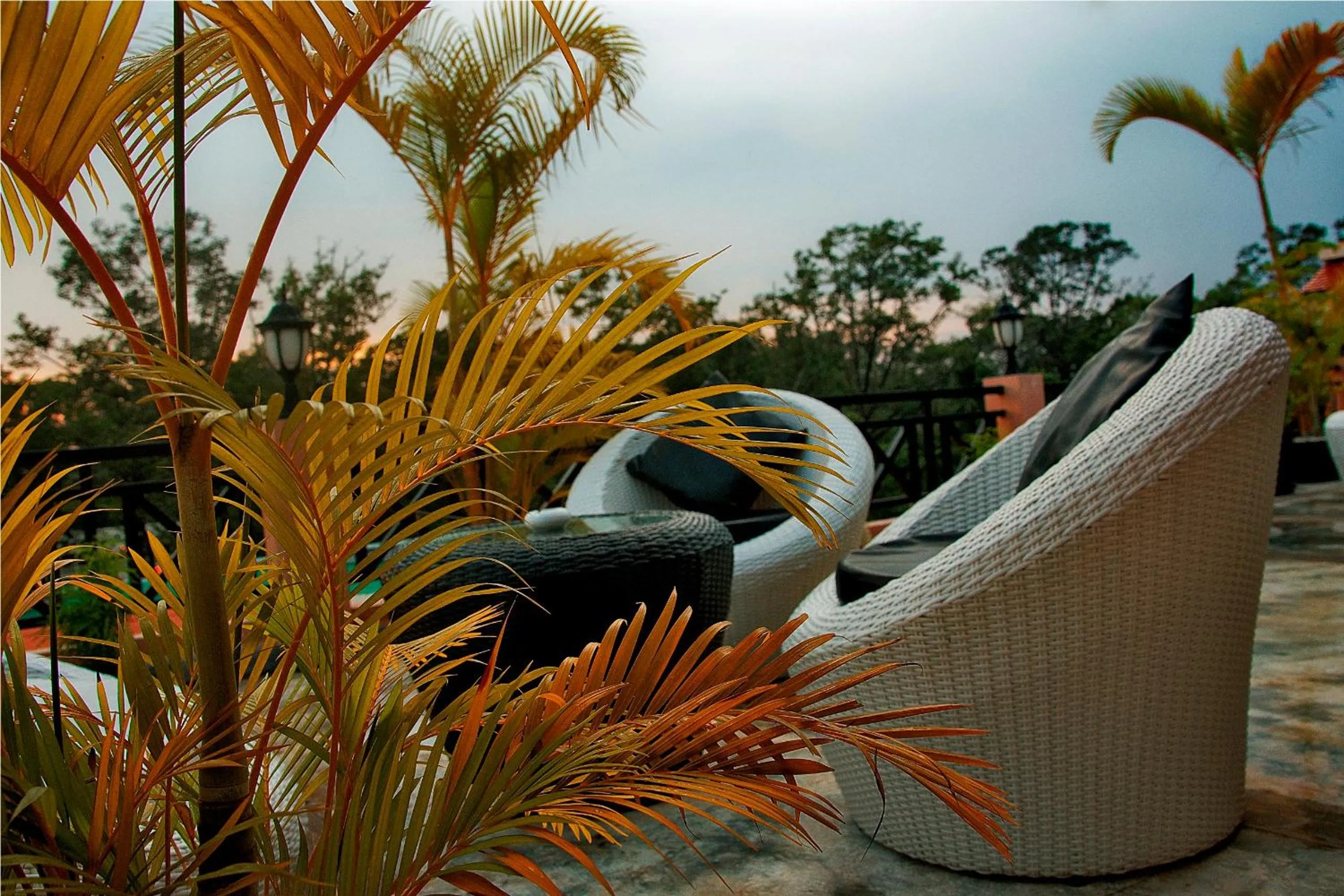 View (from property/room) in Angkor Panoramic Boutique Hotel