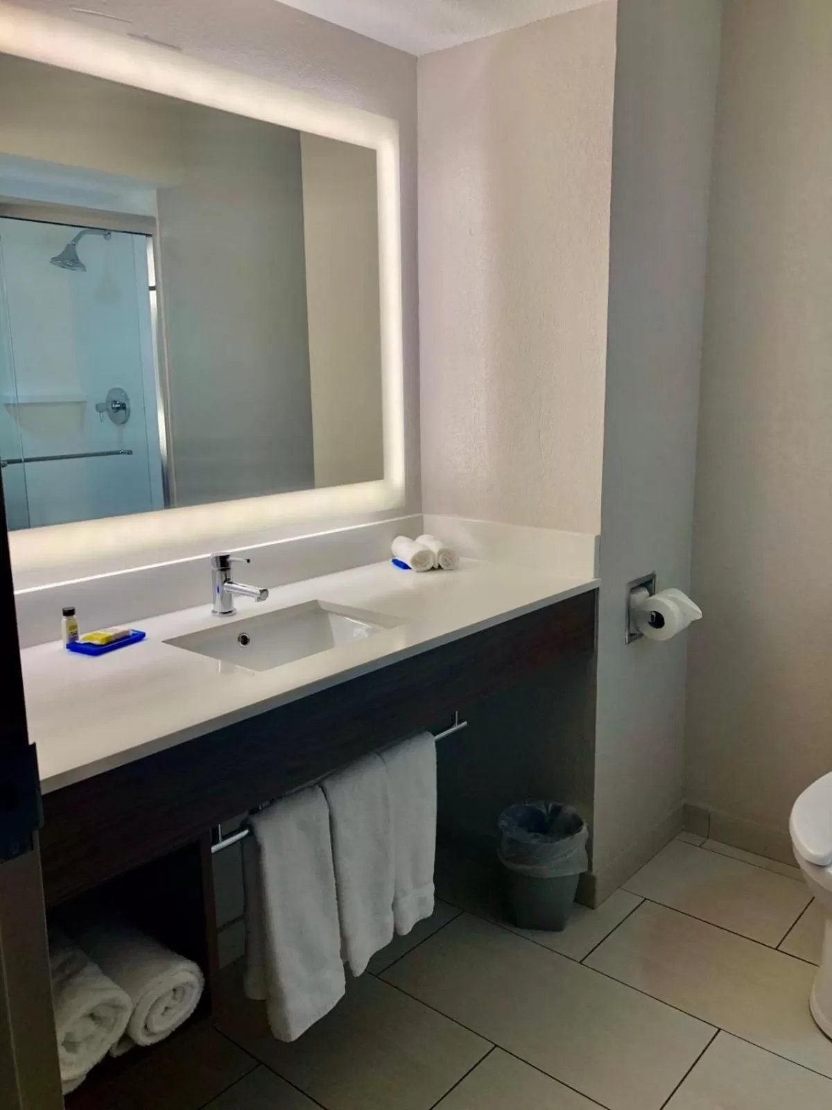 Bathroom in Holiday Inn Express Hotel & Suites Clewiston by IHG