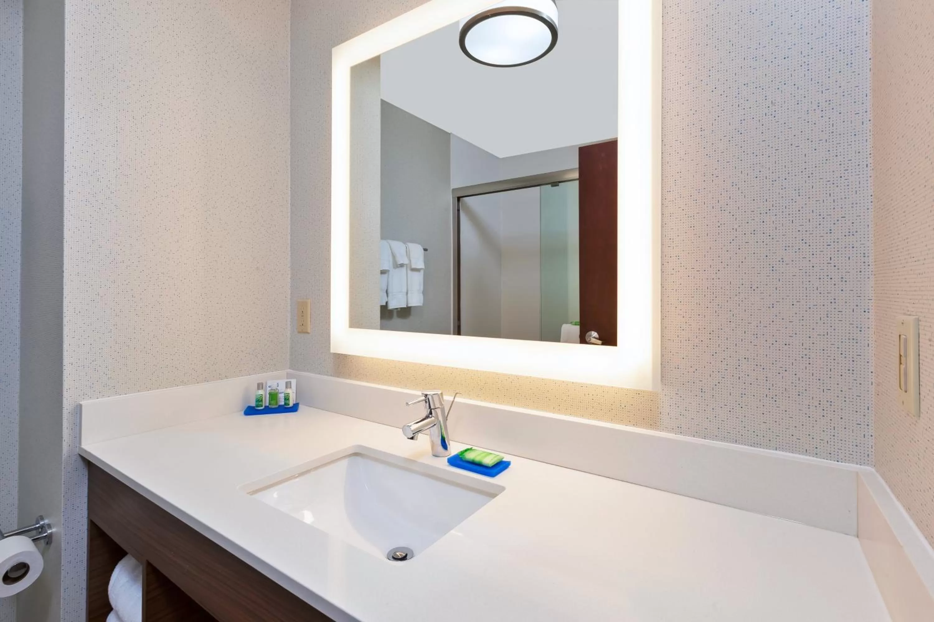 Bathroom in Holiday Inn Express Hotel & Suites Cleveland-Richfield by IHG