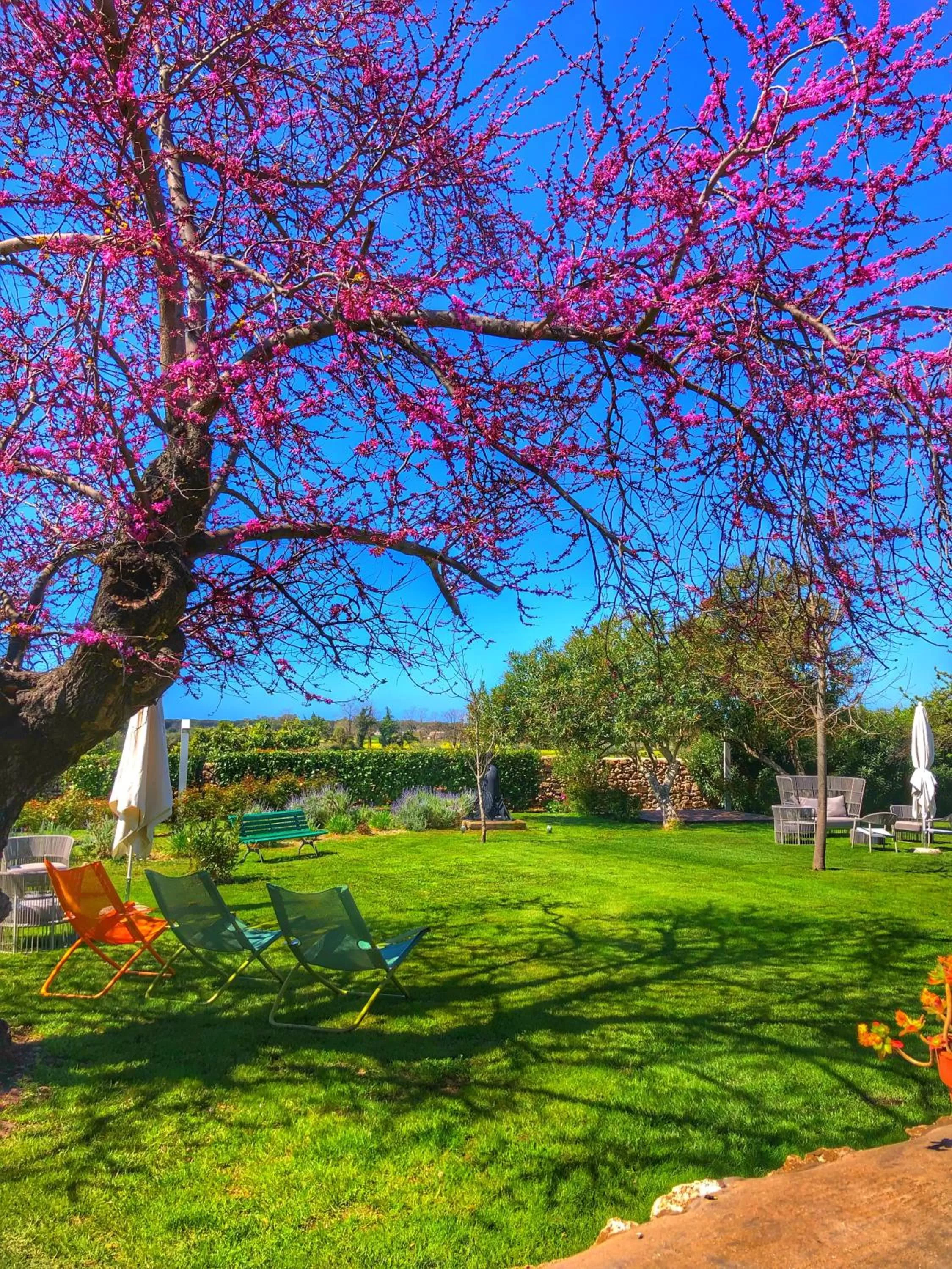 Garden in Tenuta Duca Marigliano Boutique Hotel