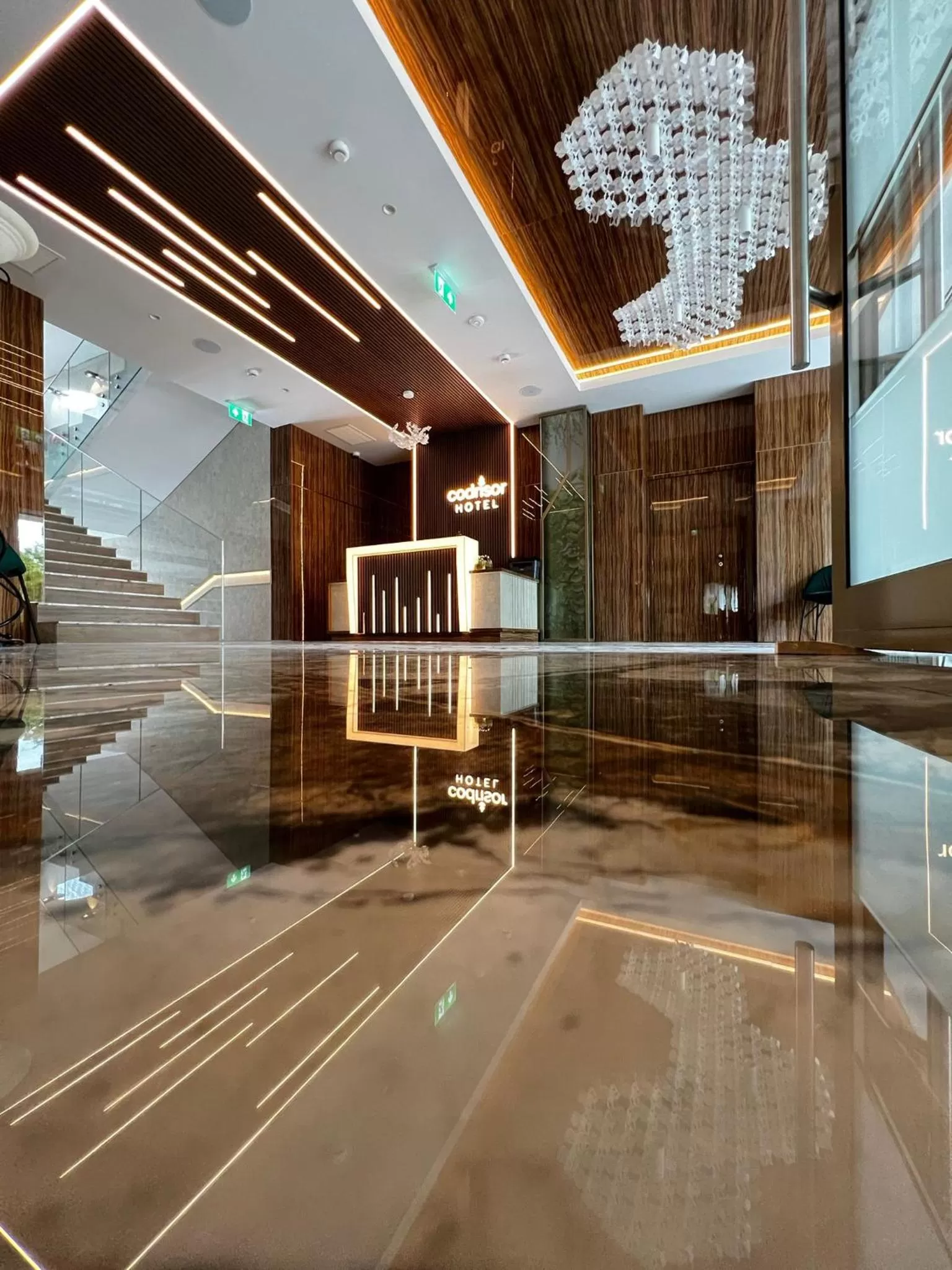 Lobby or reception in Hotel Codrişor