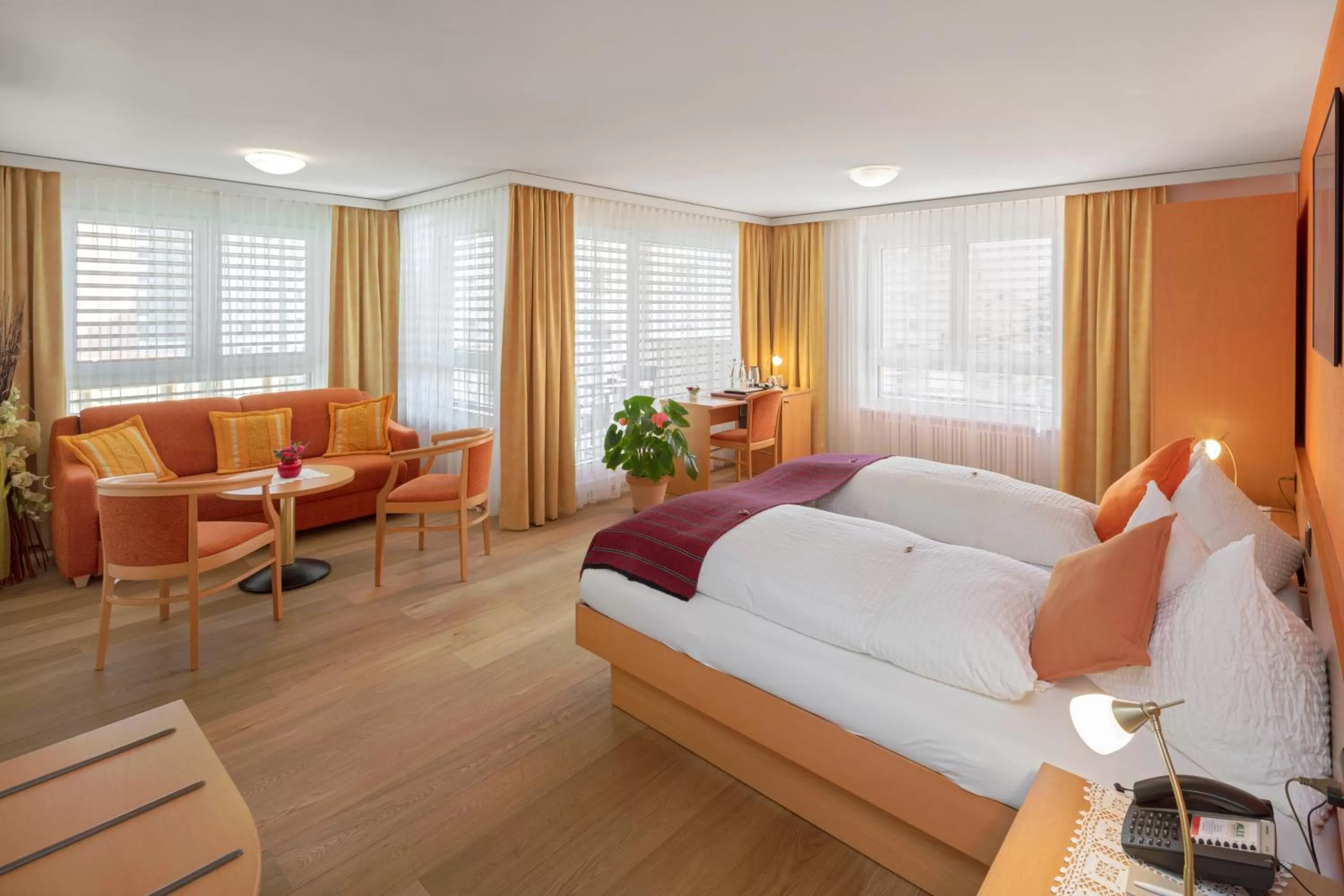 Deluxe Suite in Hotel Alex Business & SPA