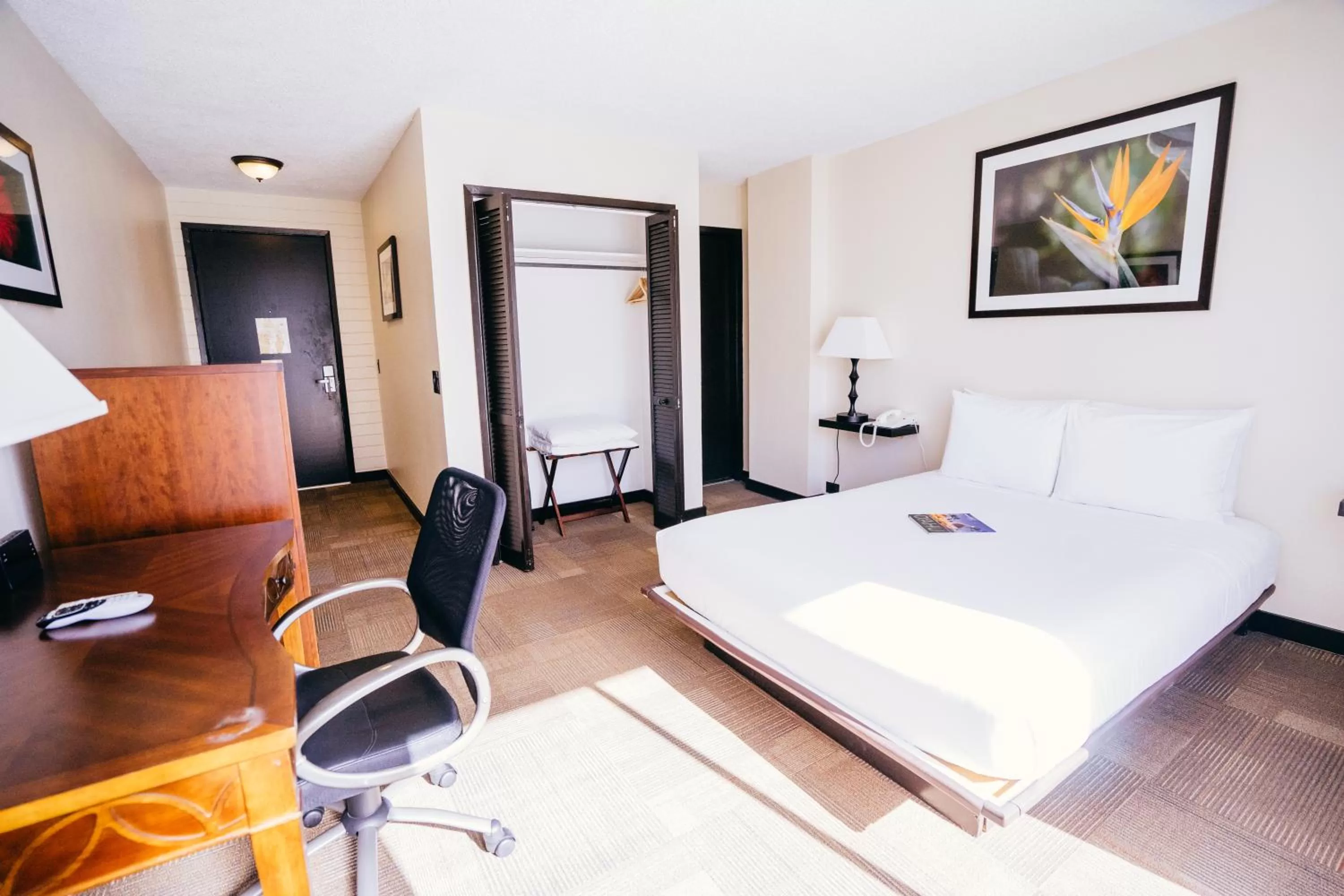 Photo of the whole room, Bed in Stay Hotel Waikiki