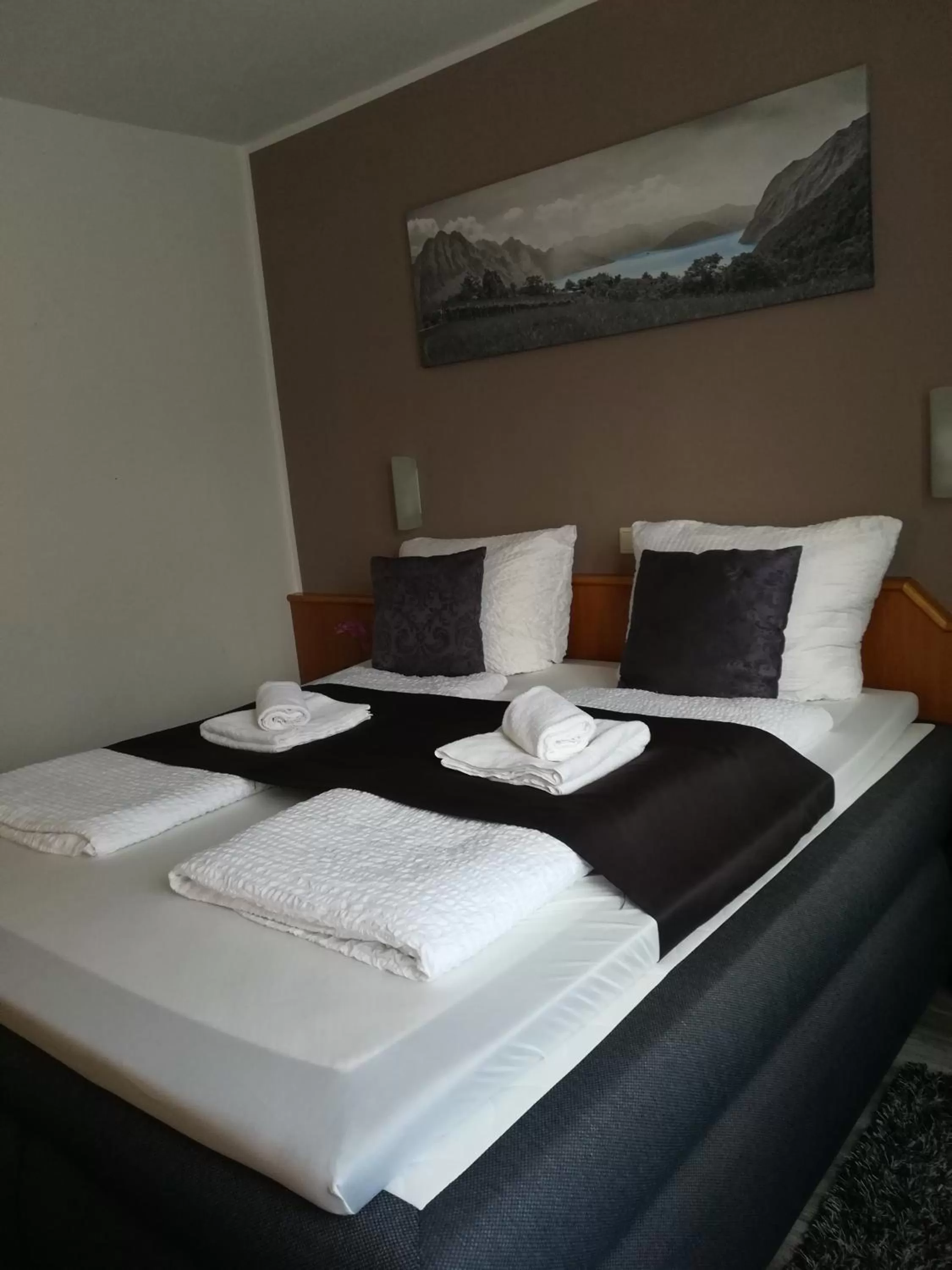 Double Room in Hotel Ari