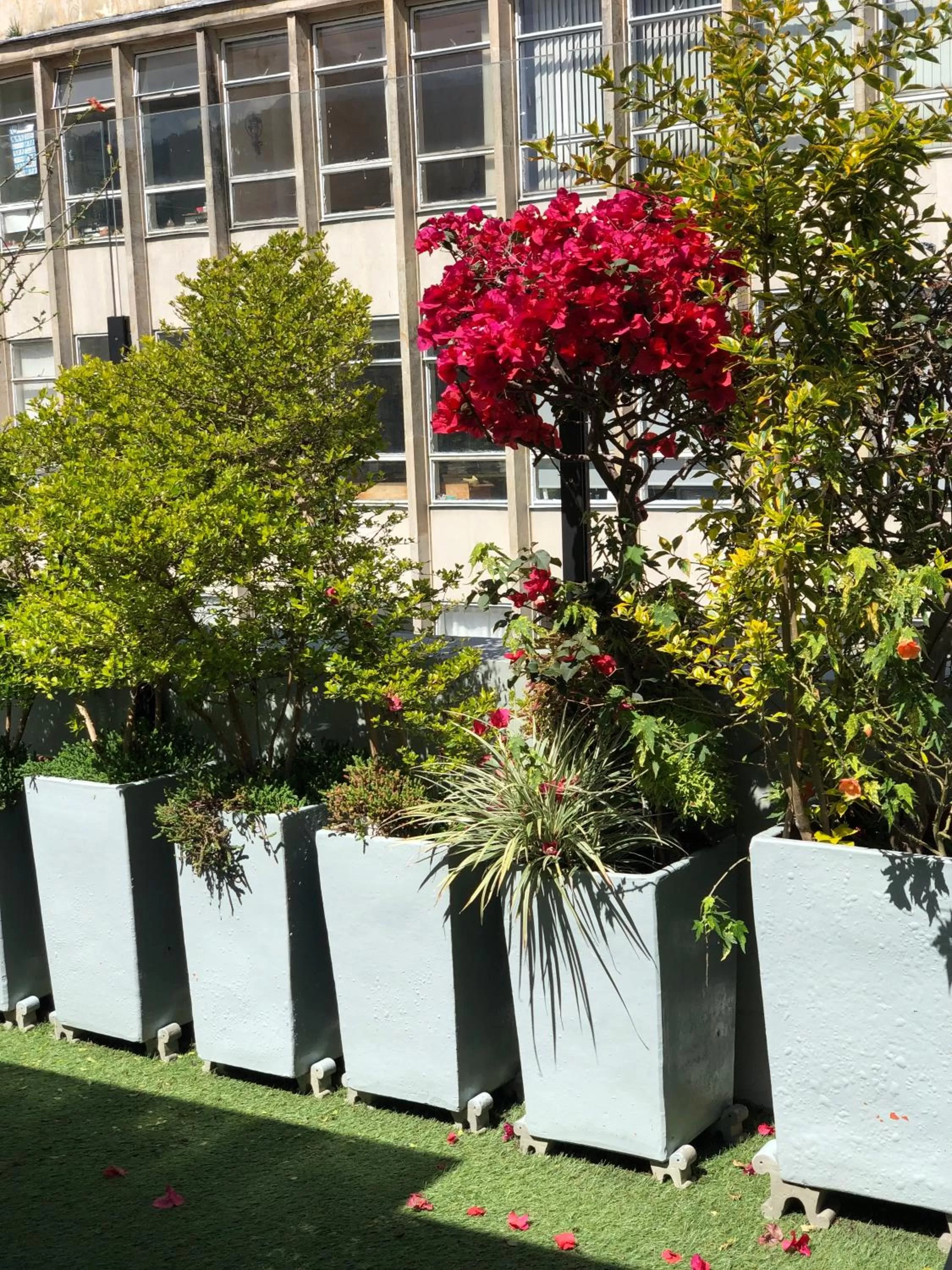 Property building in Hotel Regina