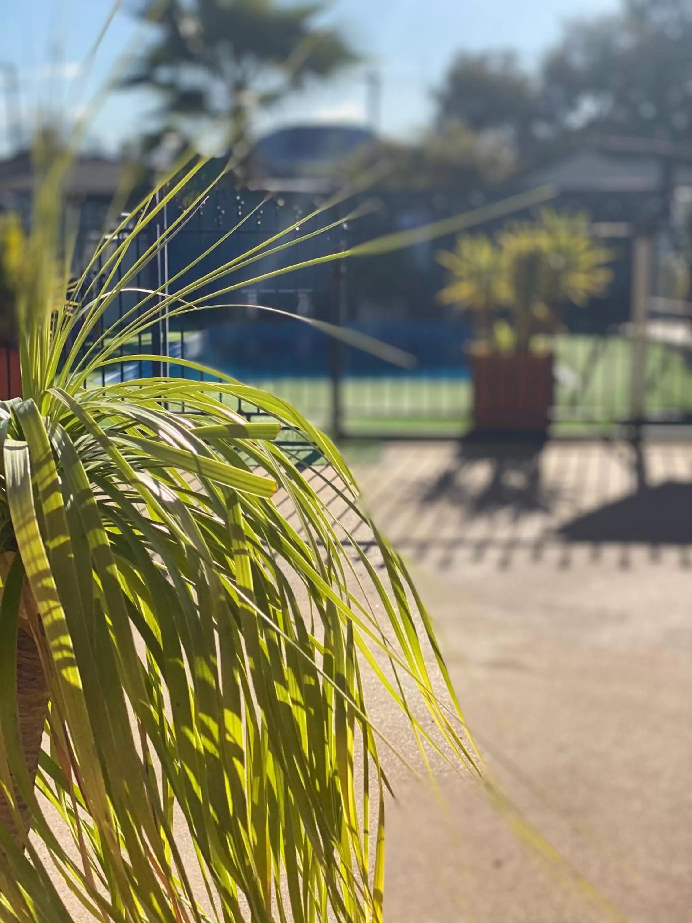 Swimming pool in All Settlers Motor Inn Parkes
