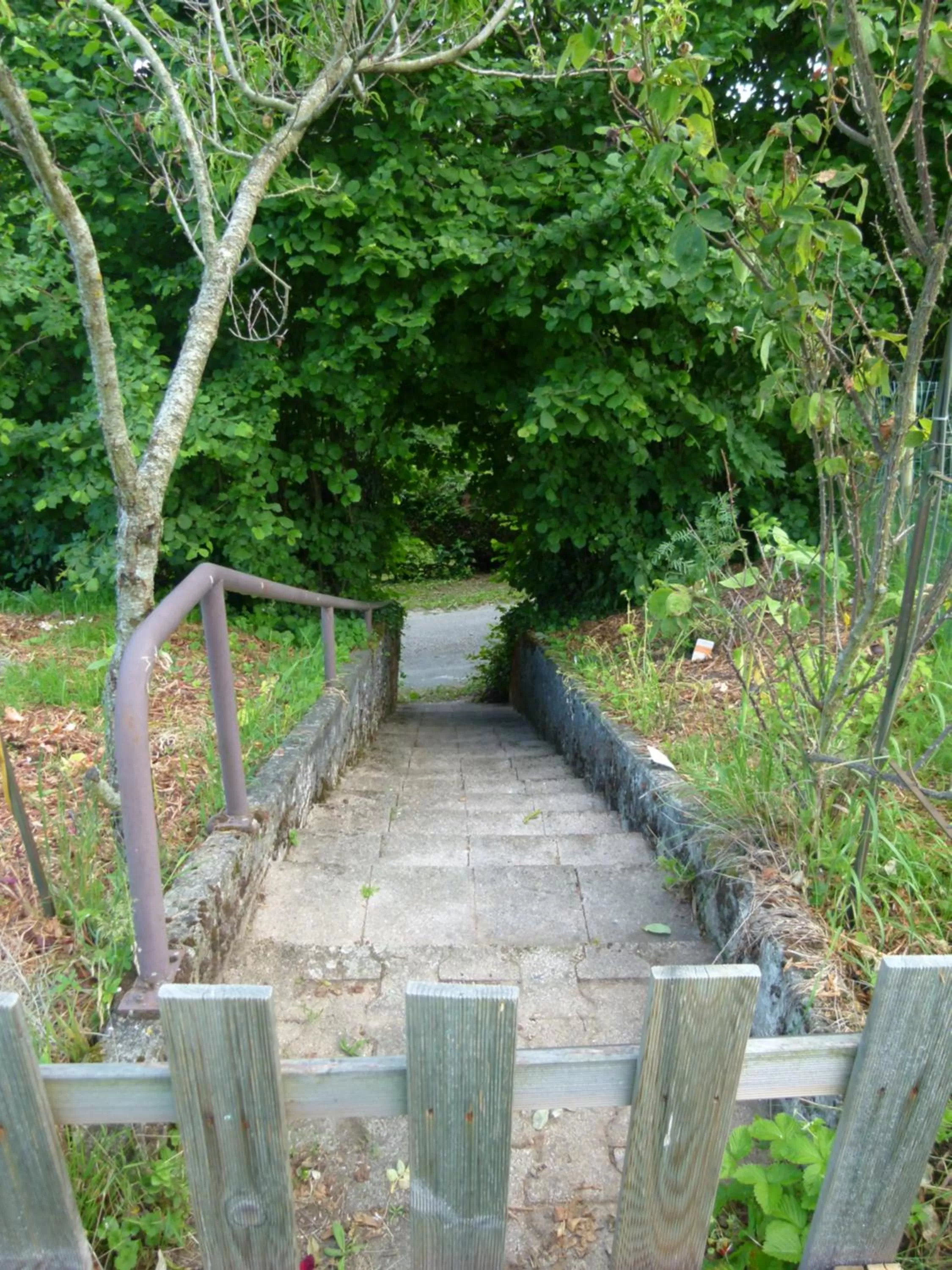 Natural landscape in Villa Détente Dauphinoise
