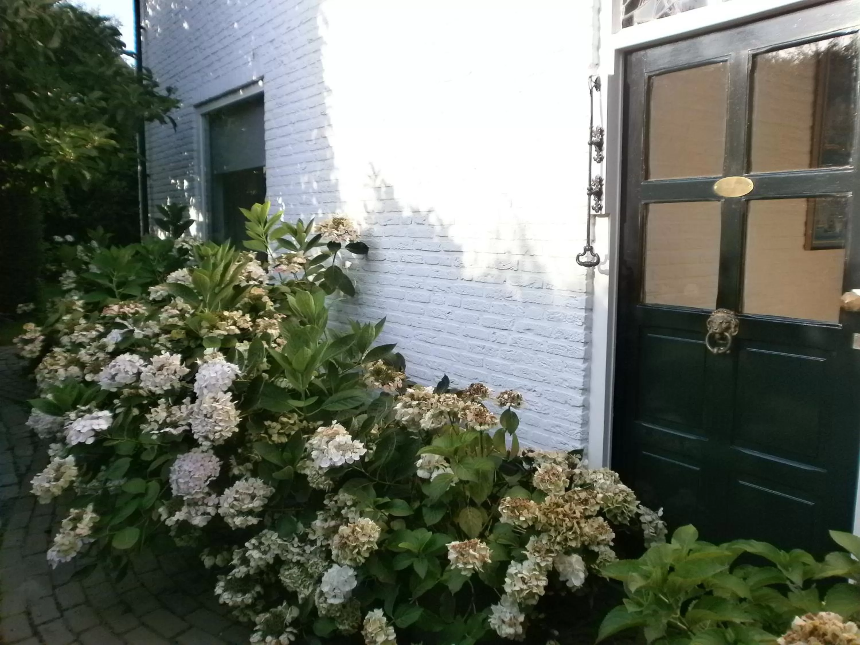 Summer in Bed and Breakfast Azzurro