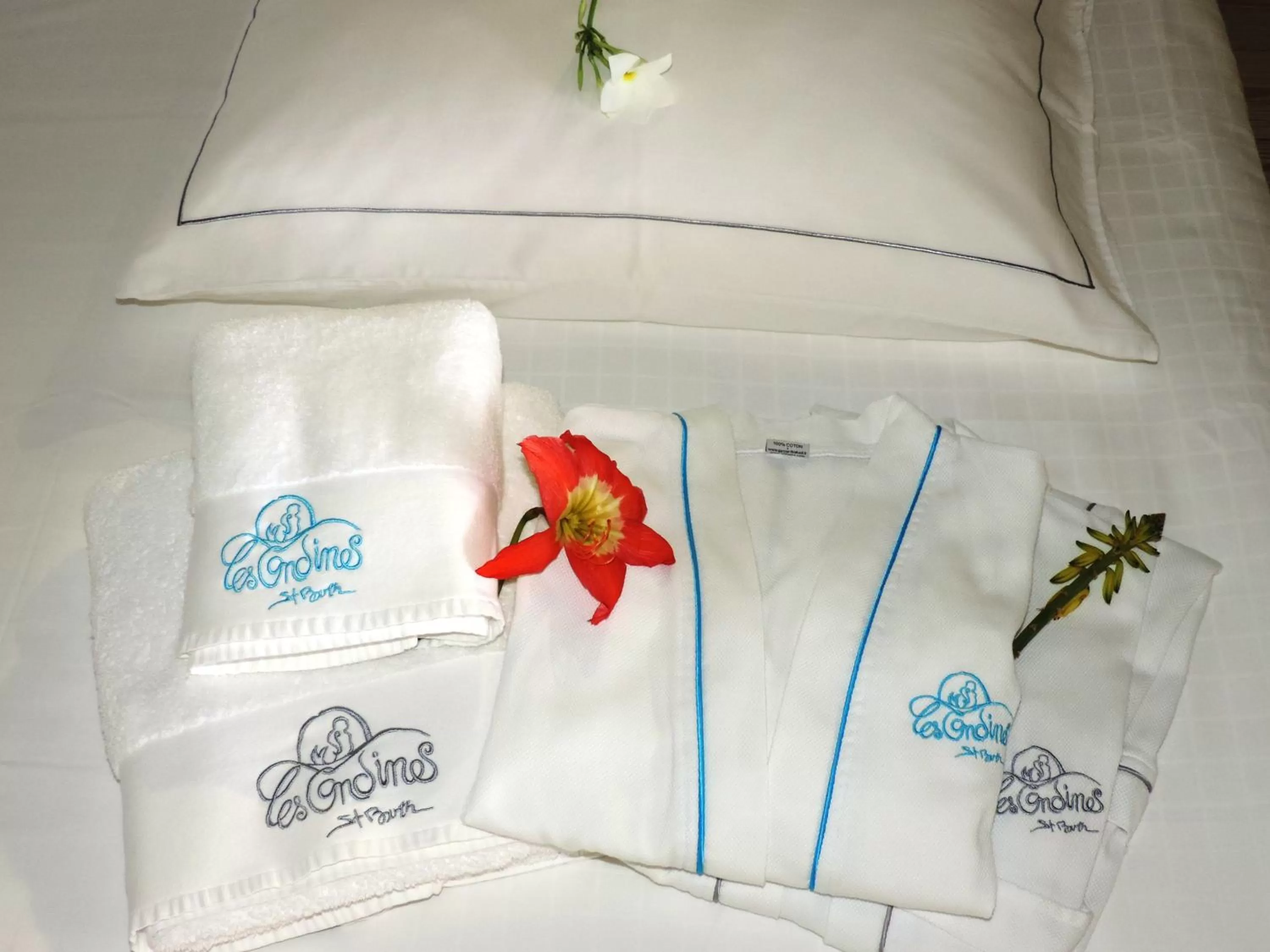 Decorative detail, Bed in Hotel Les Ondines Sur La Plage