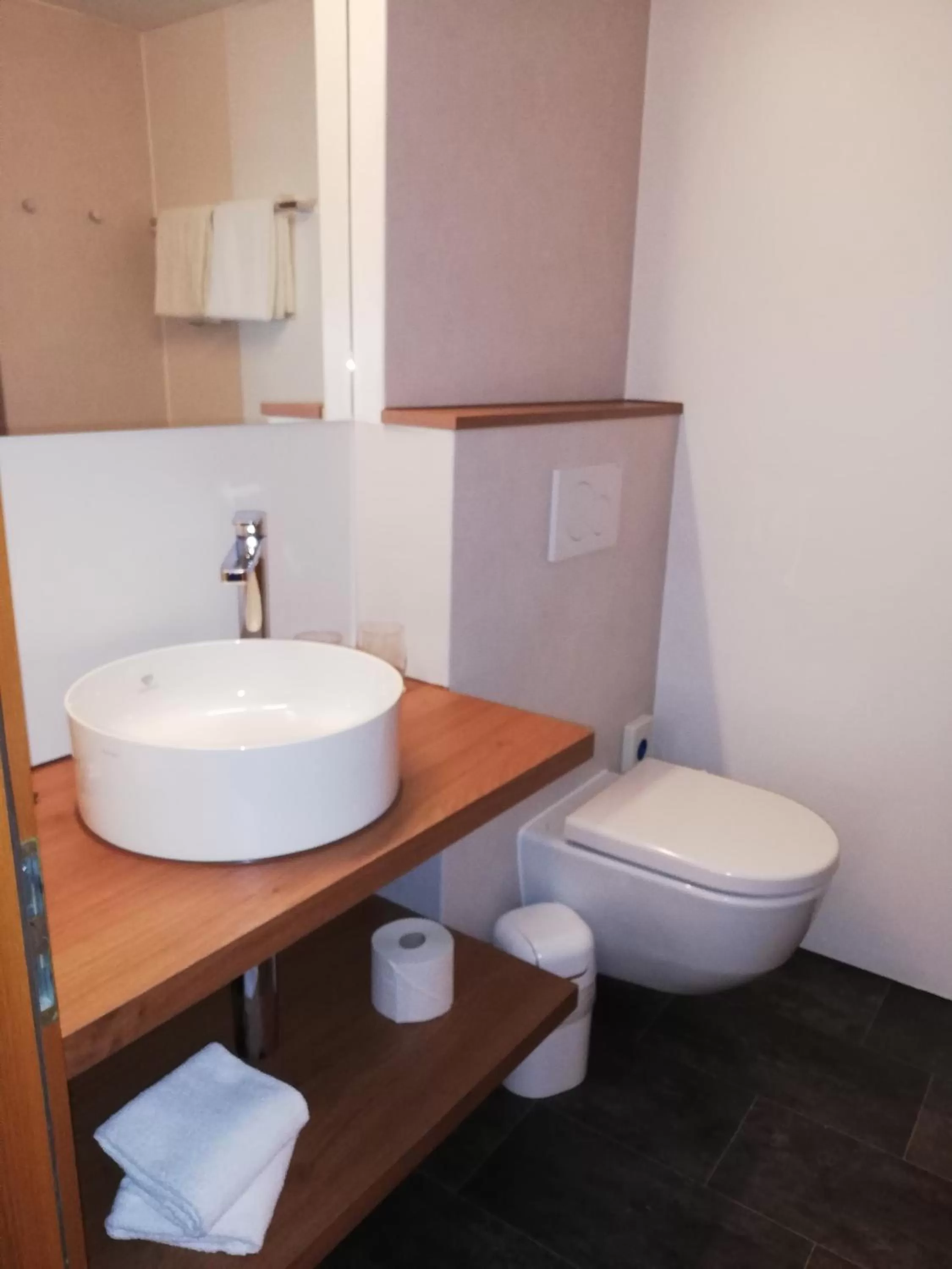 Toilet, Bathroom in Hotel Friedheim