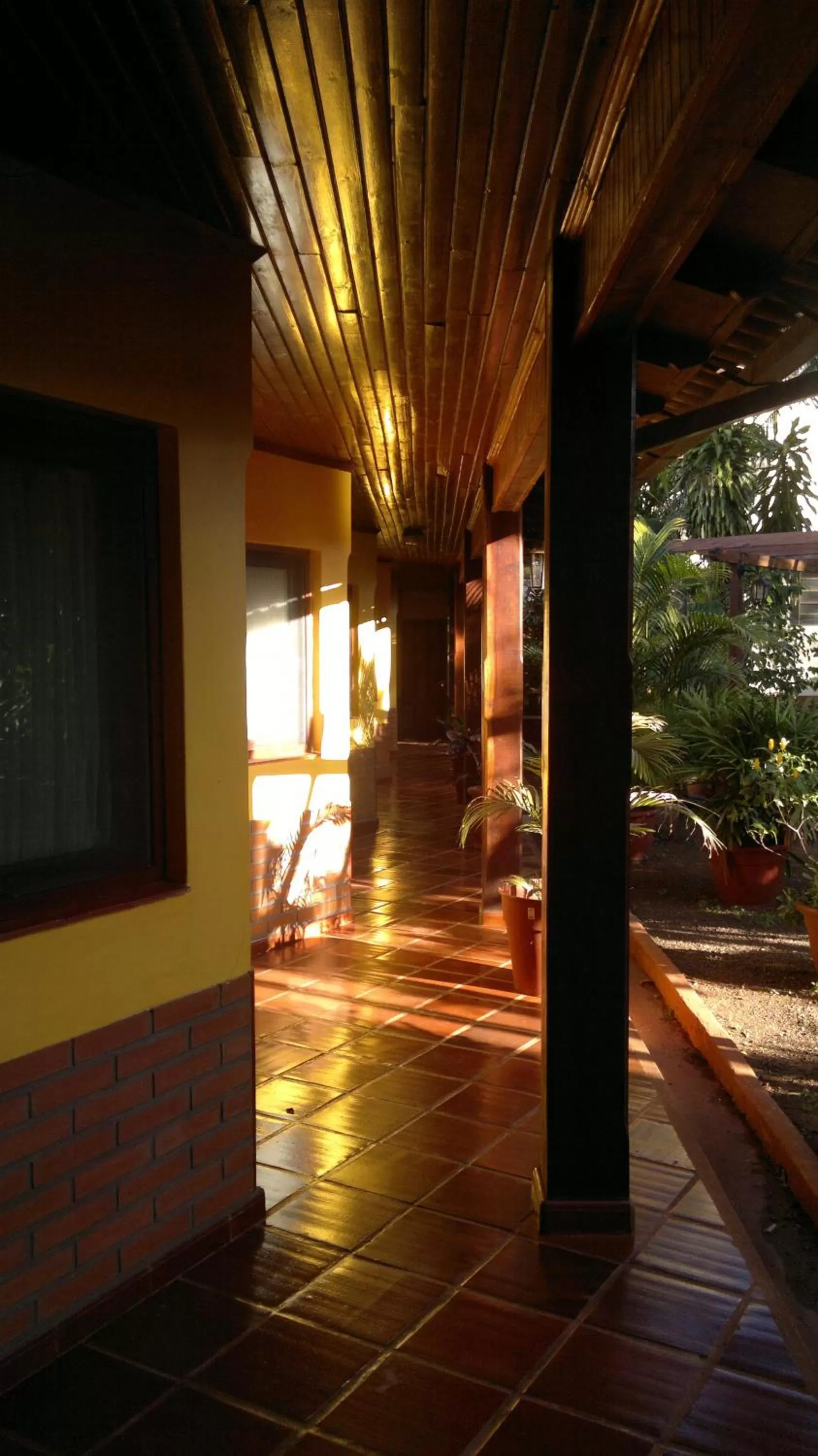 Patio in Hosteria Los Helechos