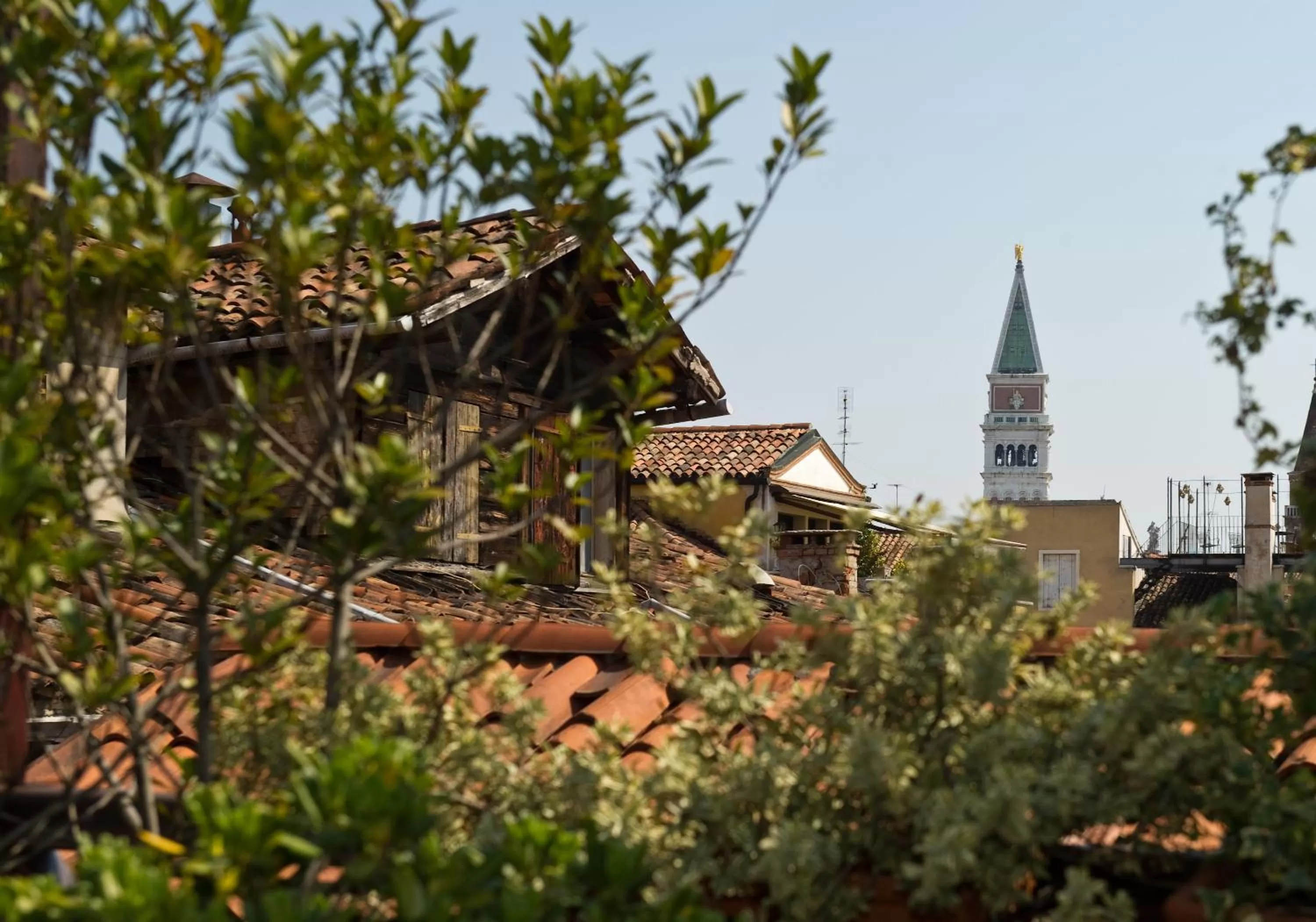 Balcony/Terrace in Palazzo del Giglio