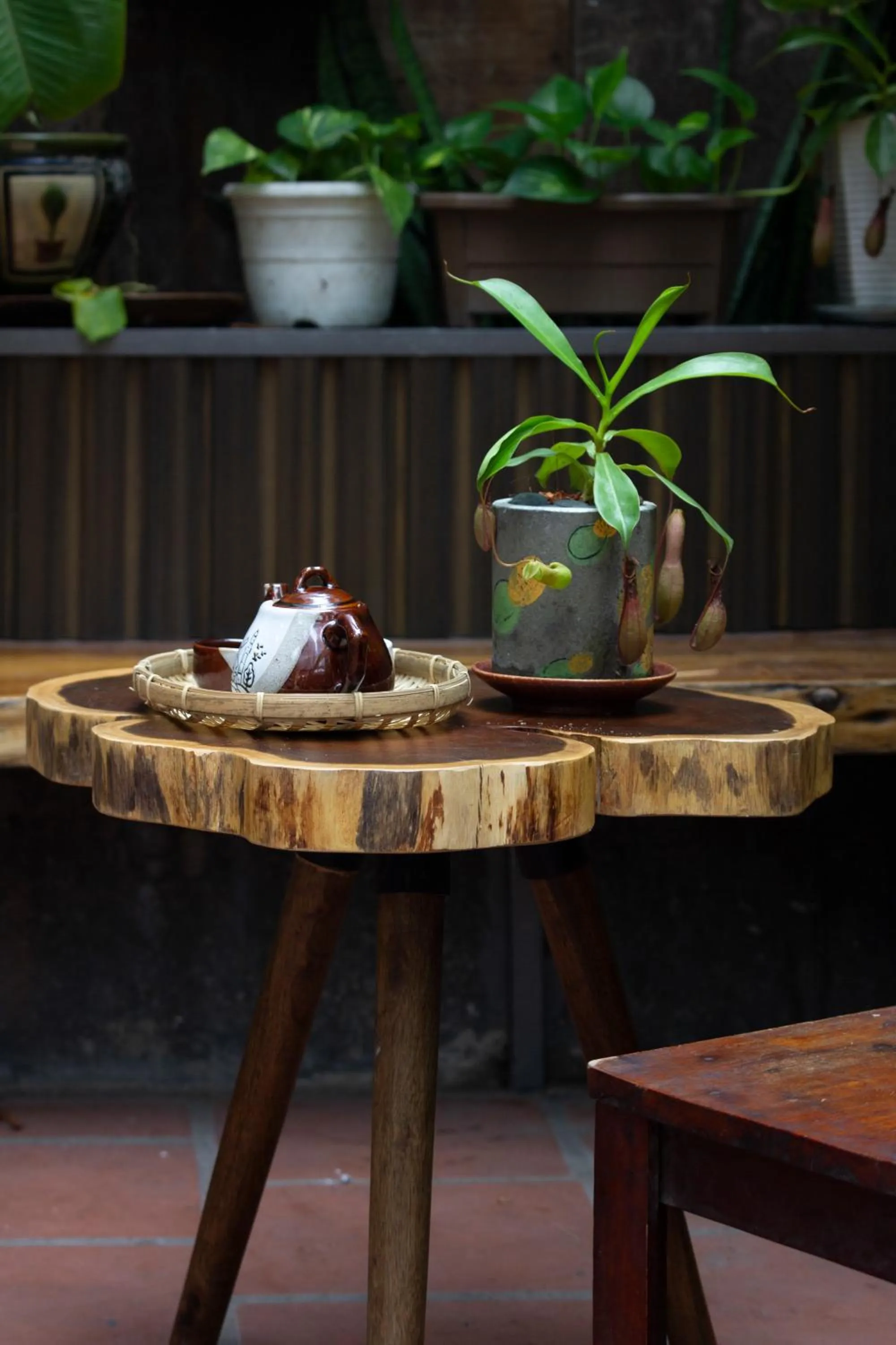 Patio in Coucou Homestead I - Homestay & Dorm District 1