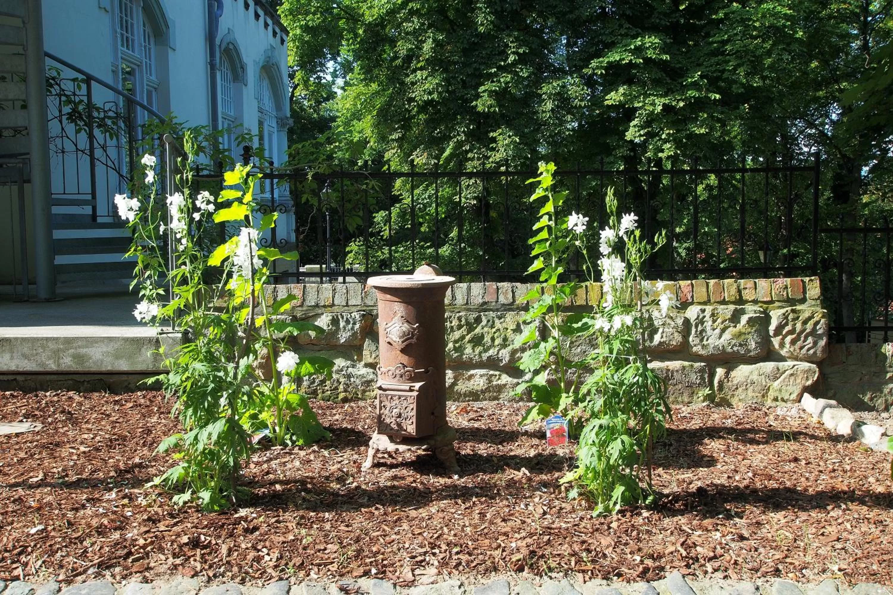 Day in Hotel Schlossvilla Derenburg