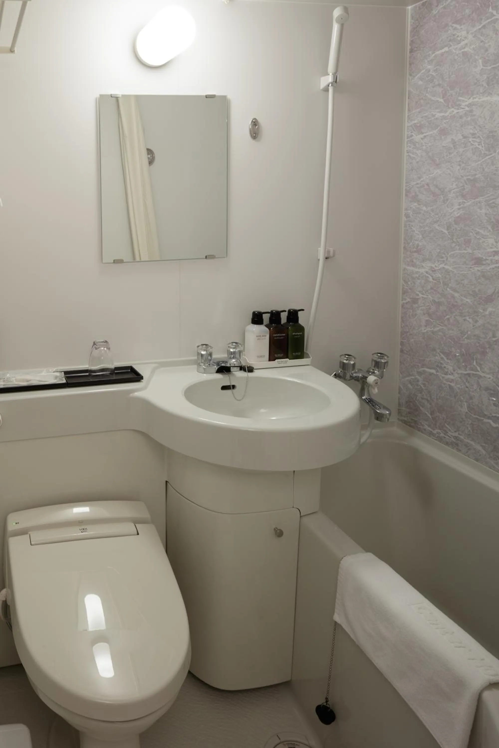 Bathroom in Center Hotel Narita2 R51