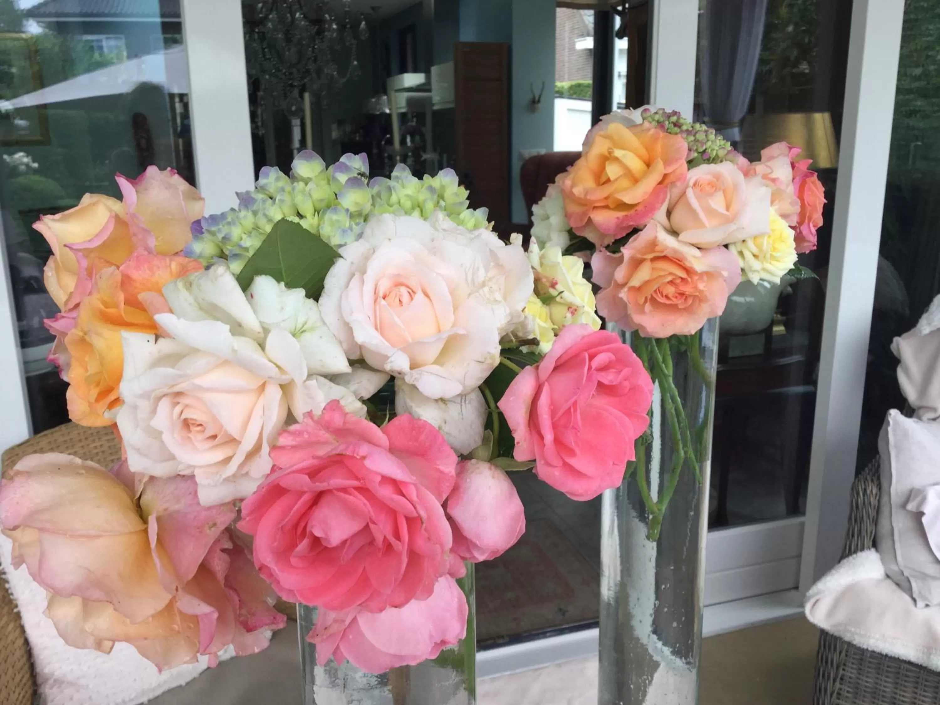 Patio in B&B lux Schijndel