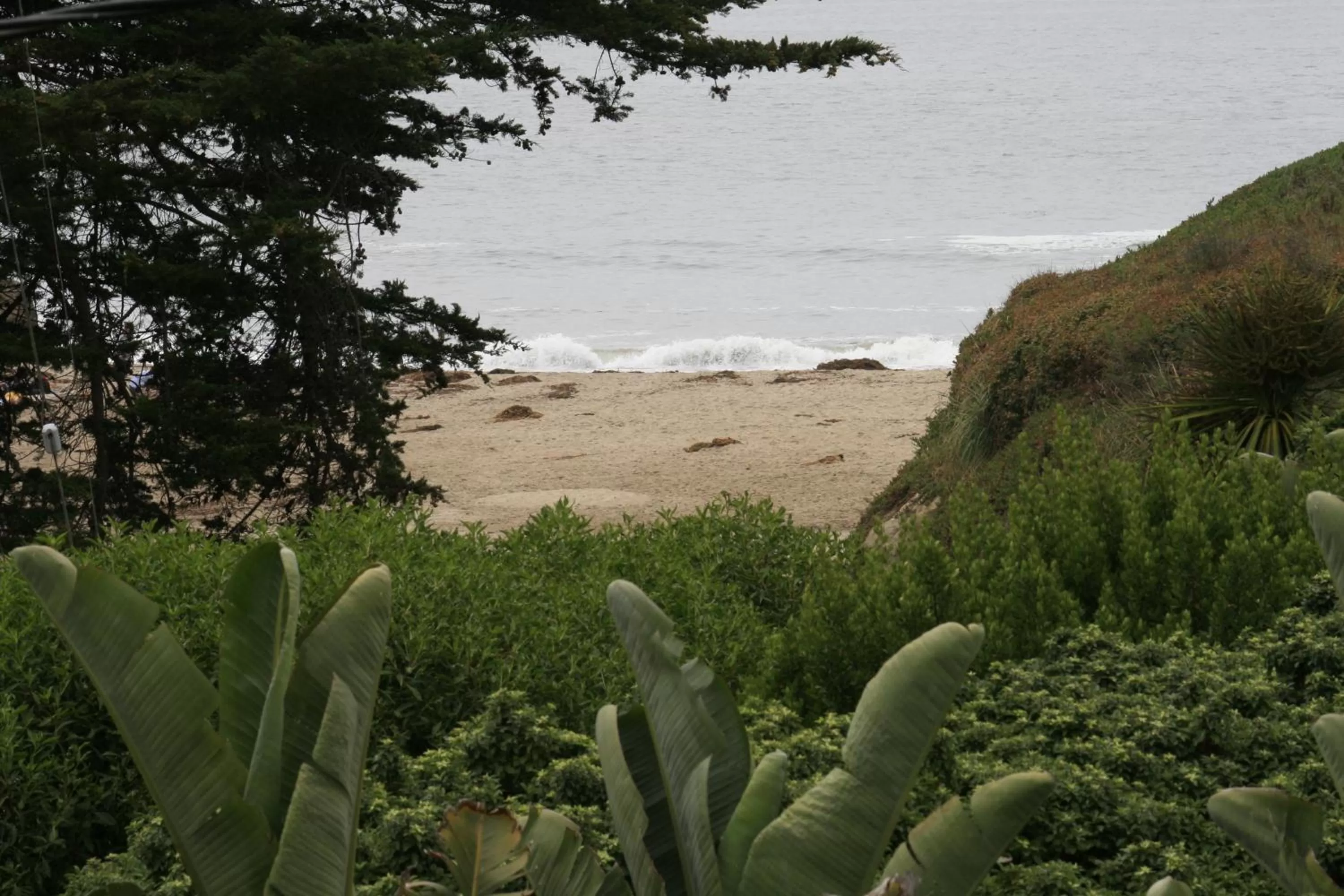 Beach in Ocean Echo Inn & Beach Cottages