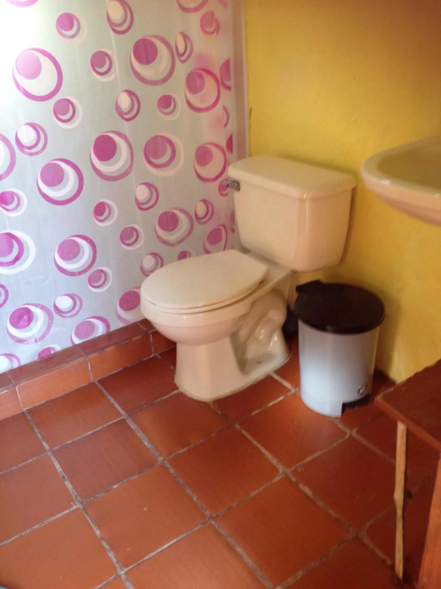 Toilet, Bathroom in Casa finca típica the lake hotel