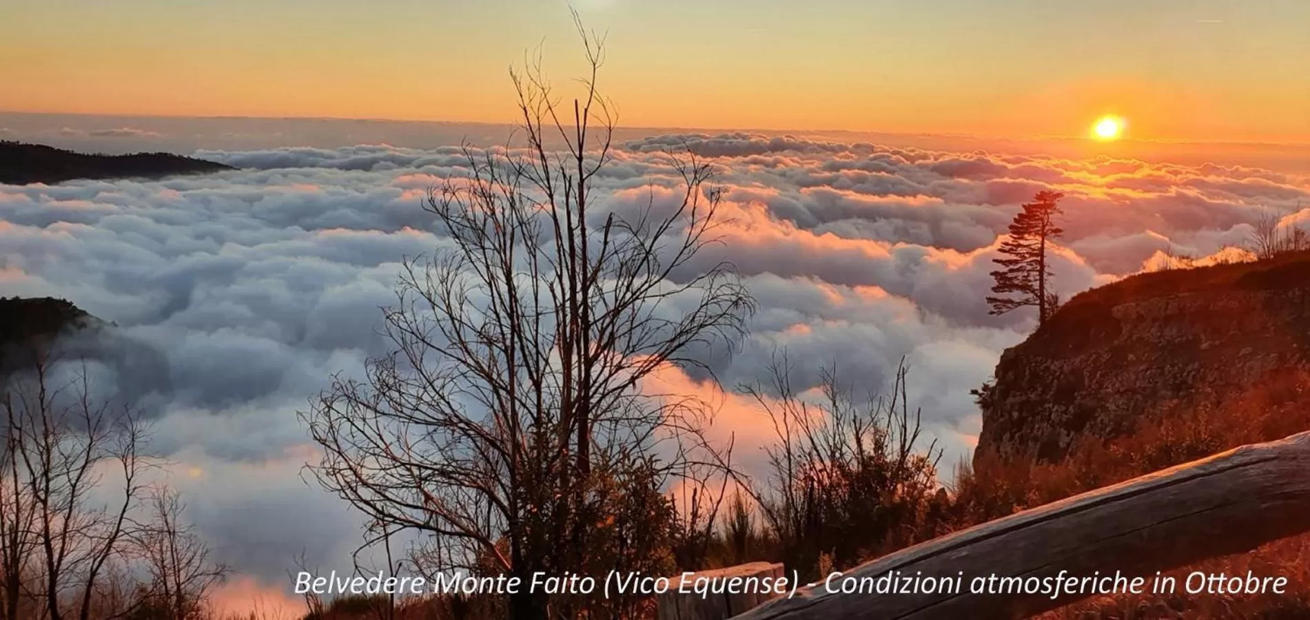 Natural landscape in Filangieri 23 - Luxury B&B - Sorrento Coast