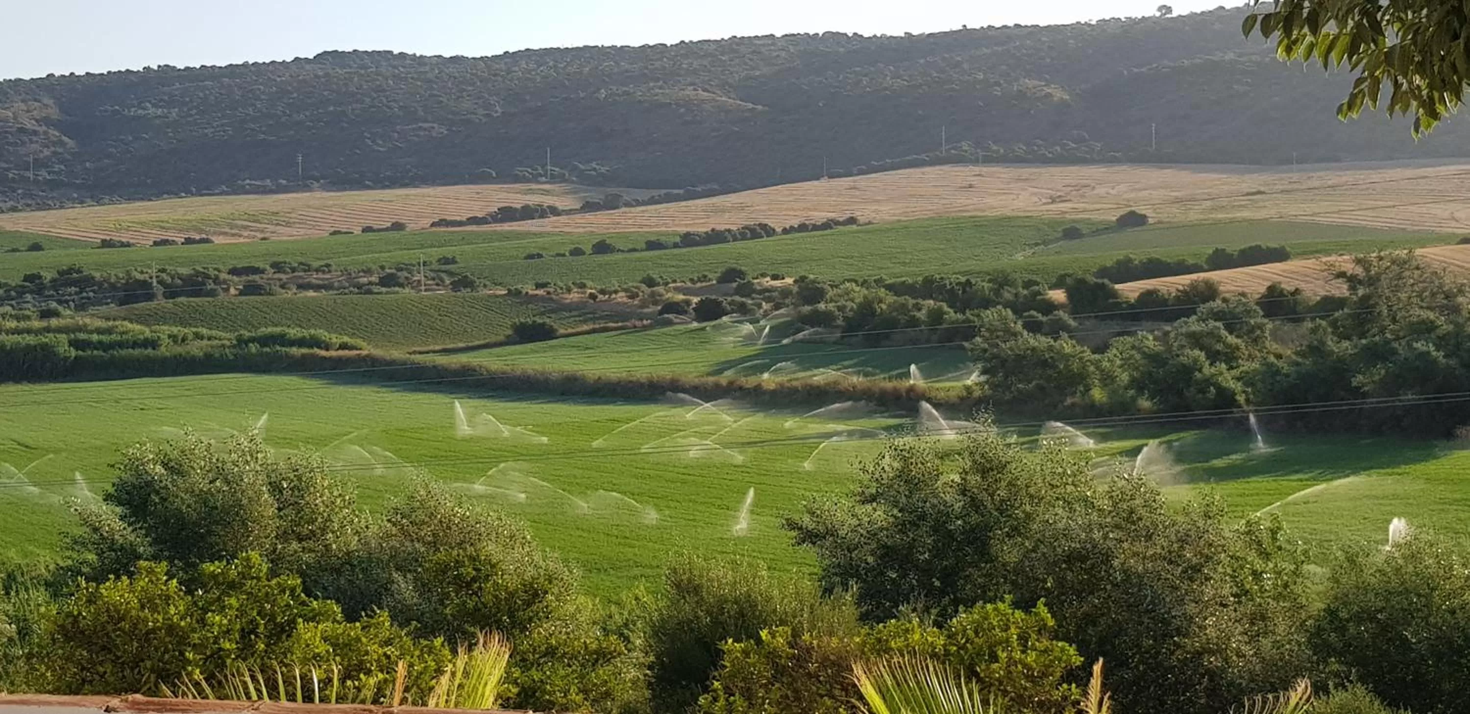 Other in Hacienda El Santiscal Adults Only