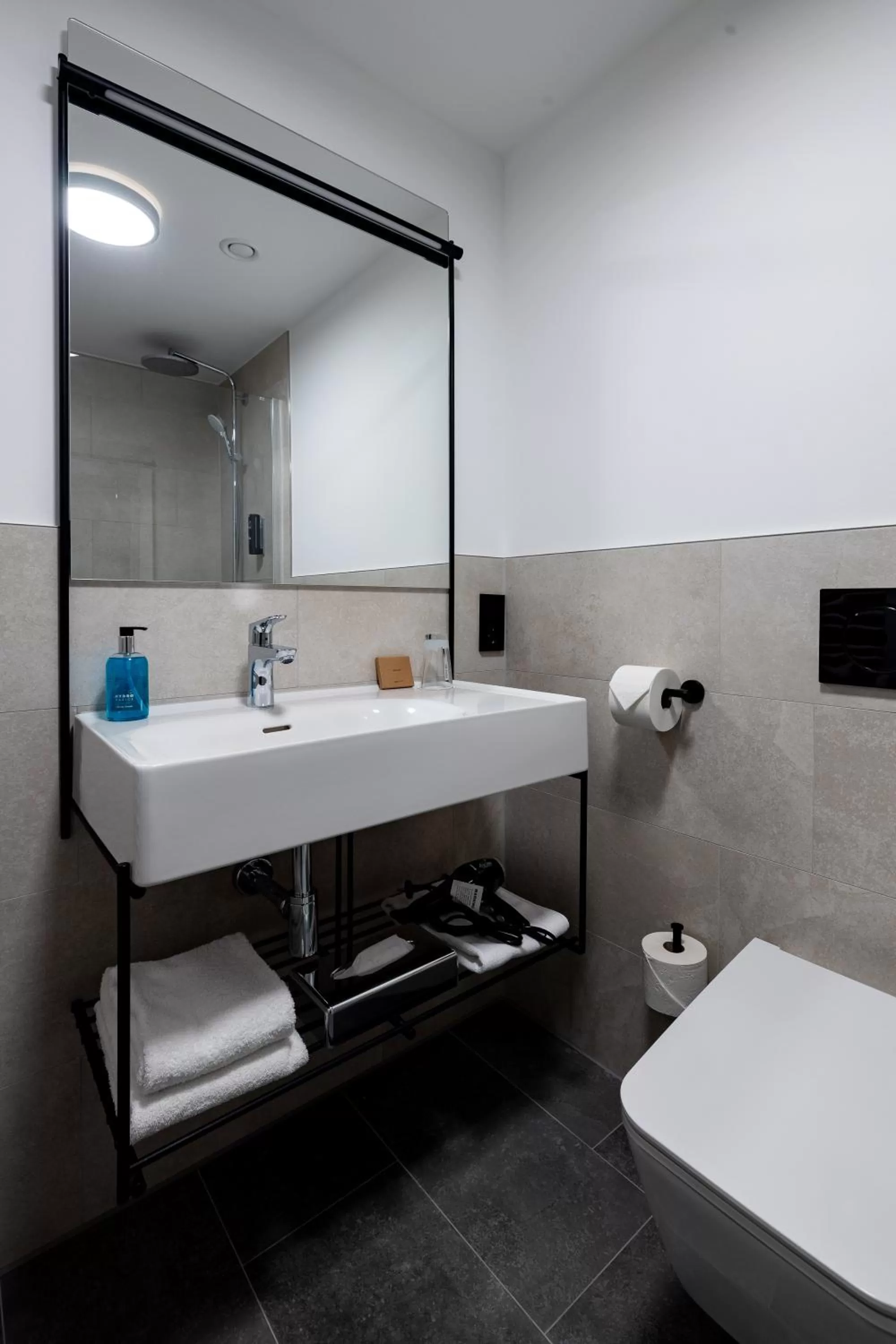 Toilet in mk hotel passau