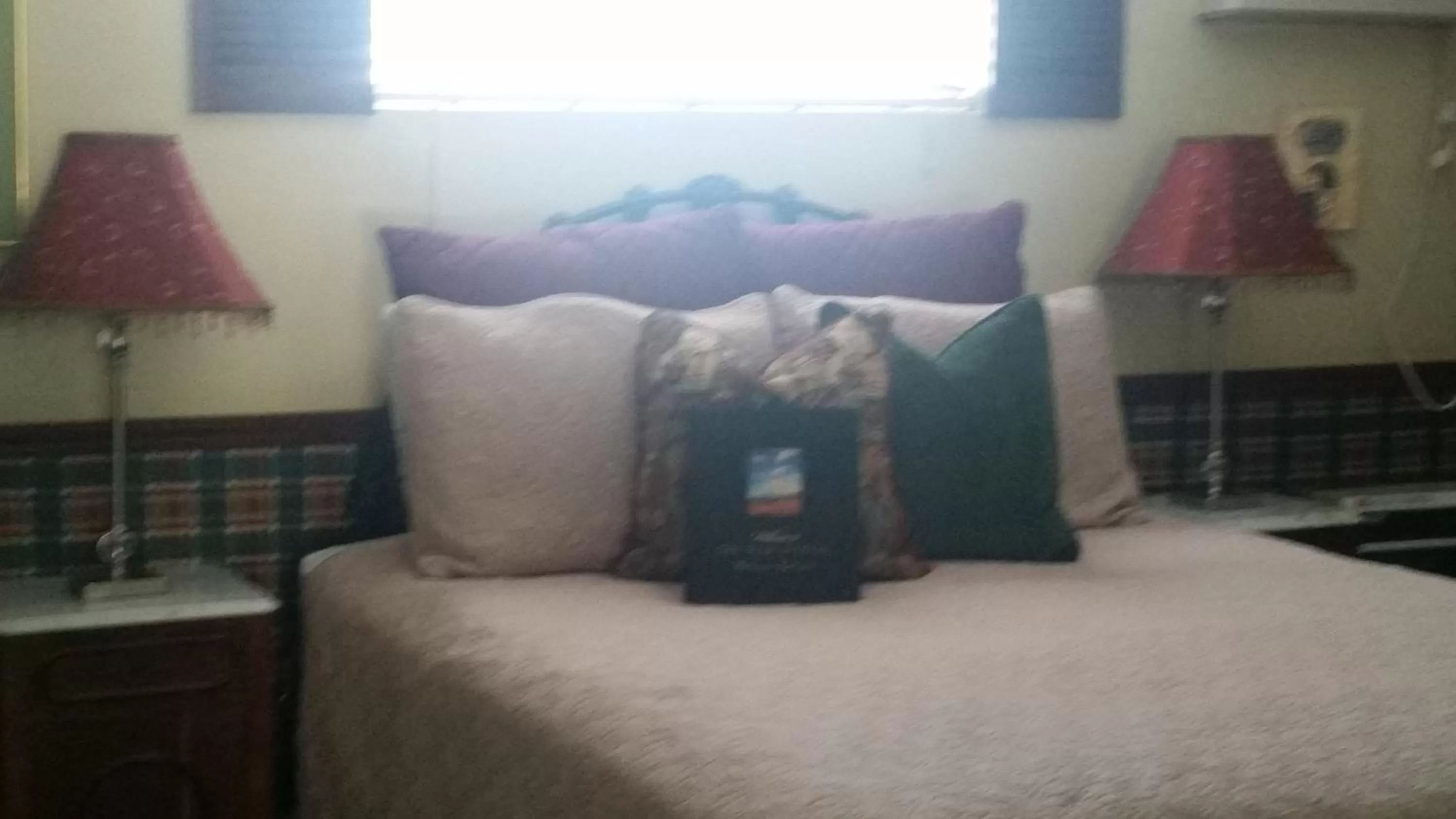 Bed in Gunn House Hotel