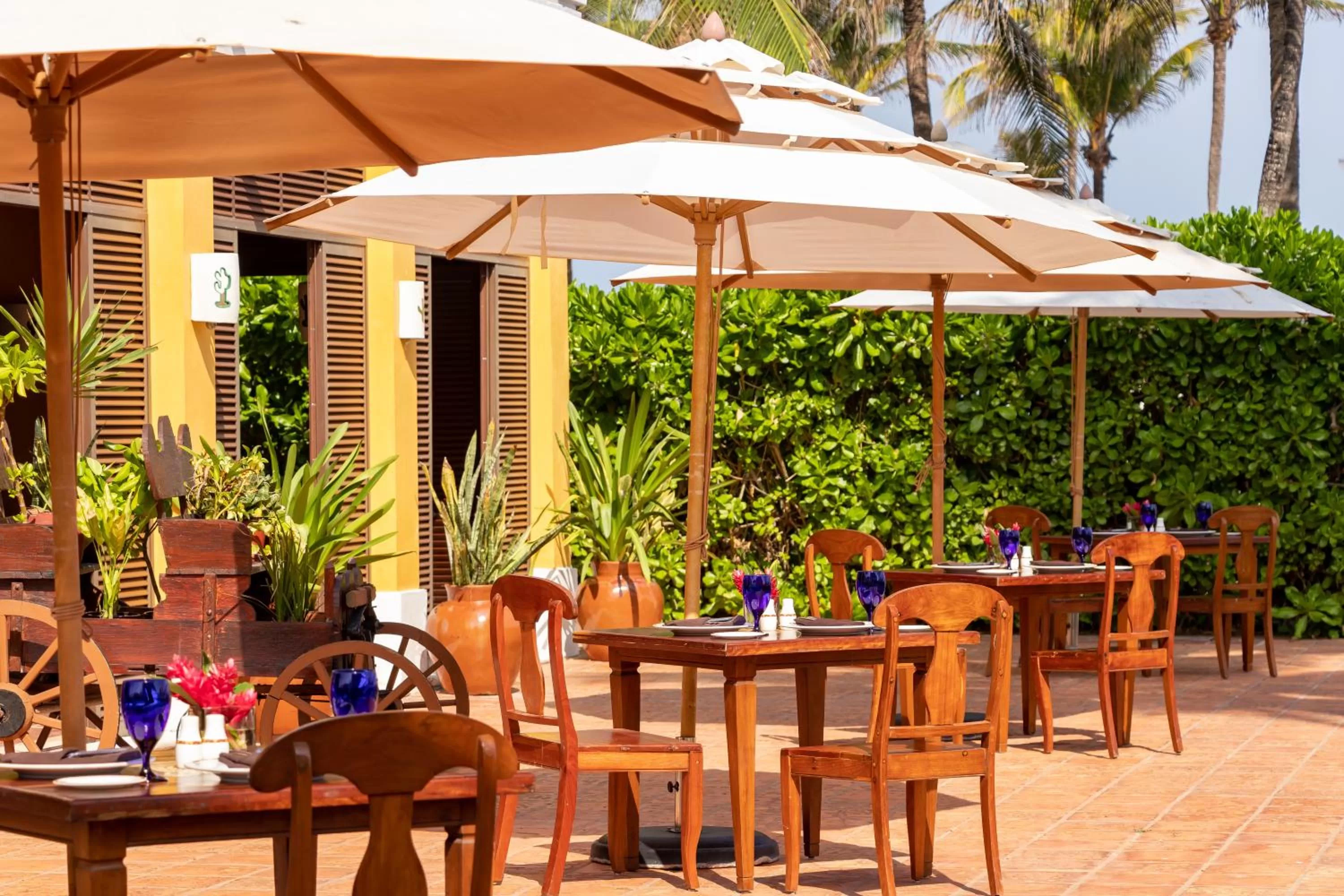 Restaurant/places to eat in Dreams Tulum Resort & Spa