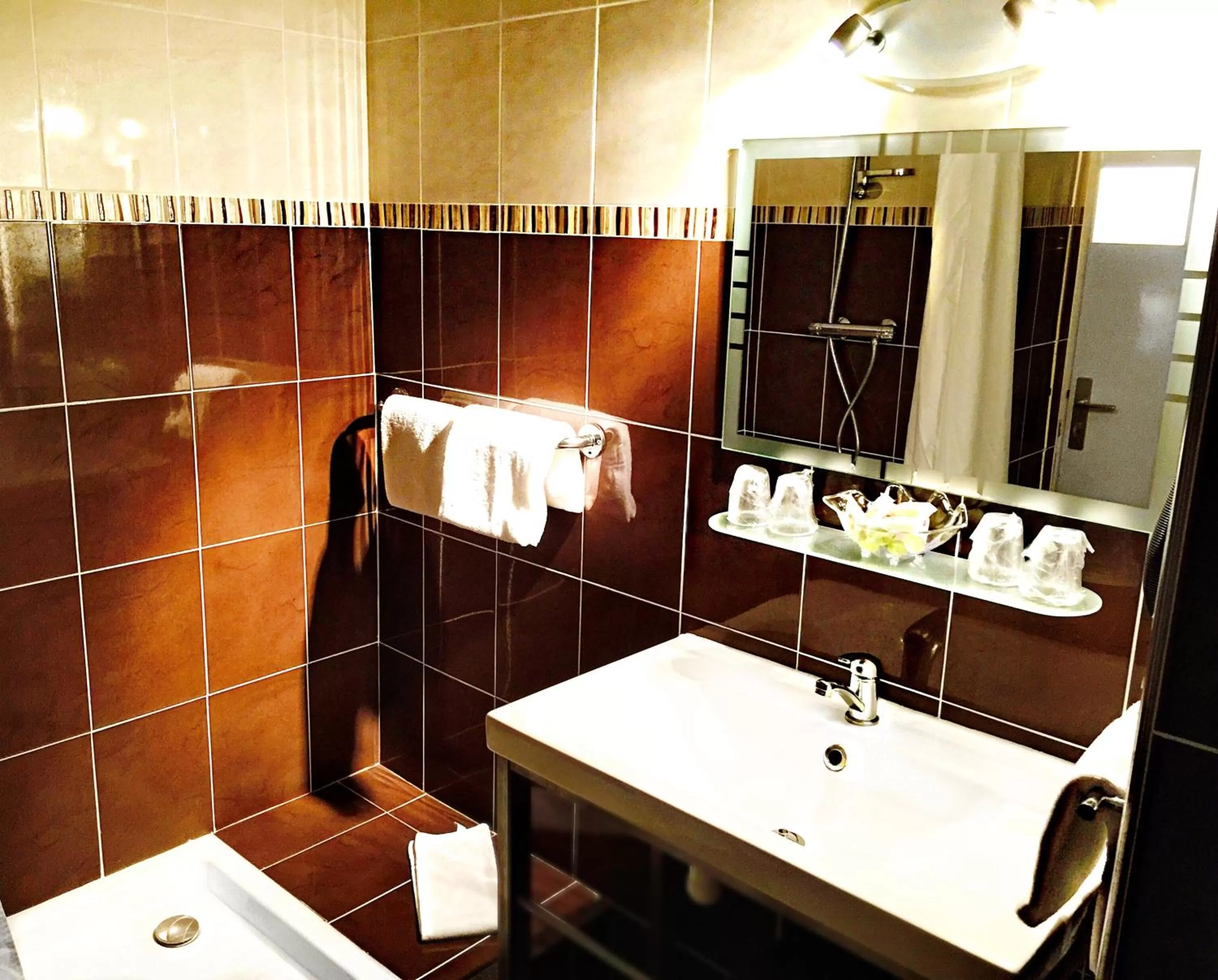 Shower in Hotel Saint-Aignan