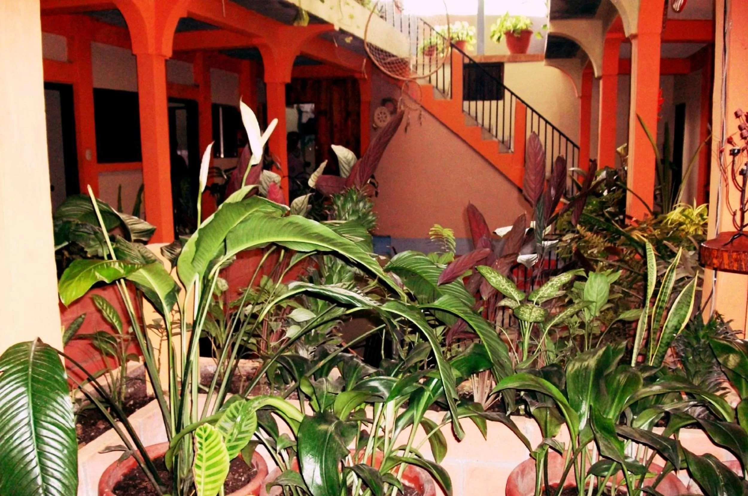 Other in Hotel & Hostal Yaxkin Copan