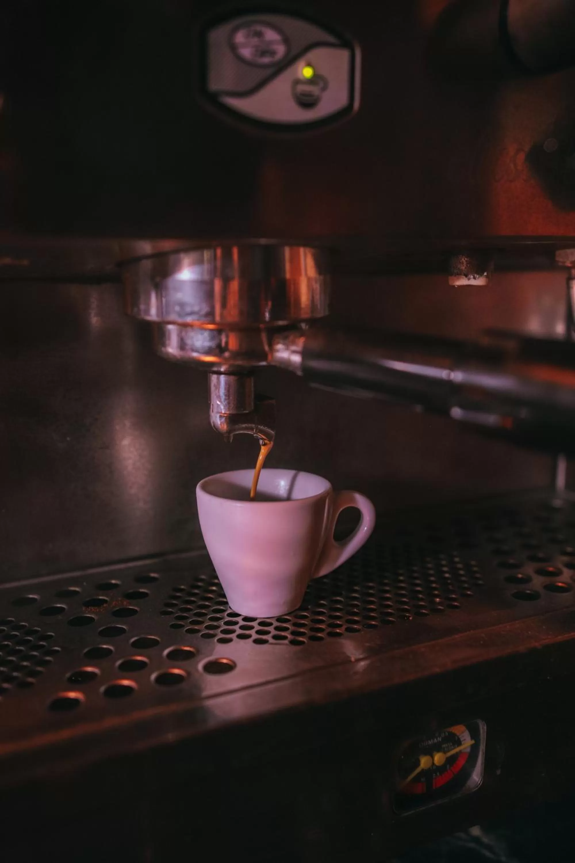 Lounge or bar in Aracan Portsaid