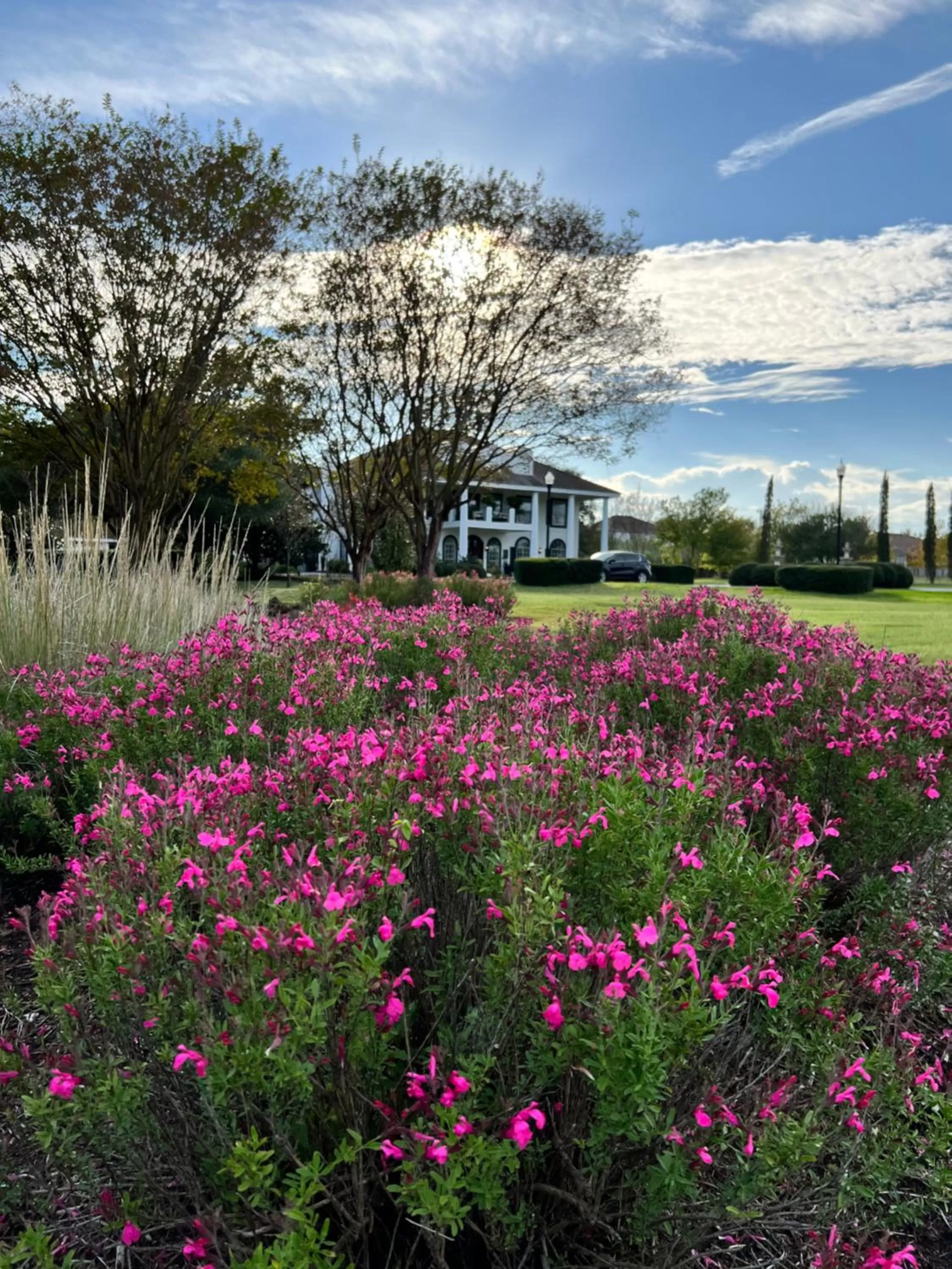 The Plantation House Boutique Inn