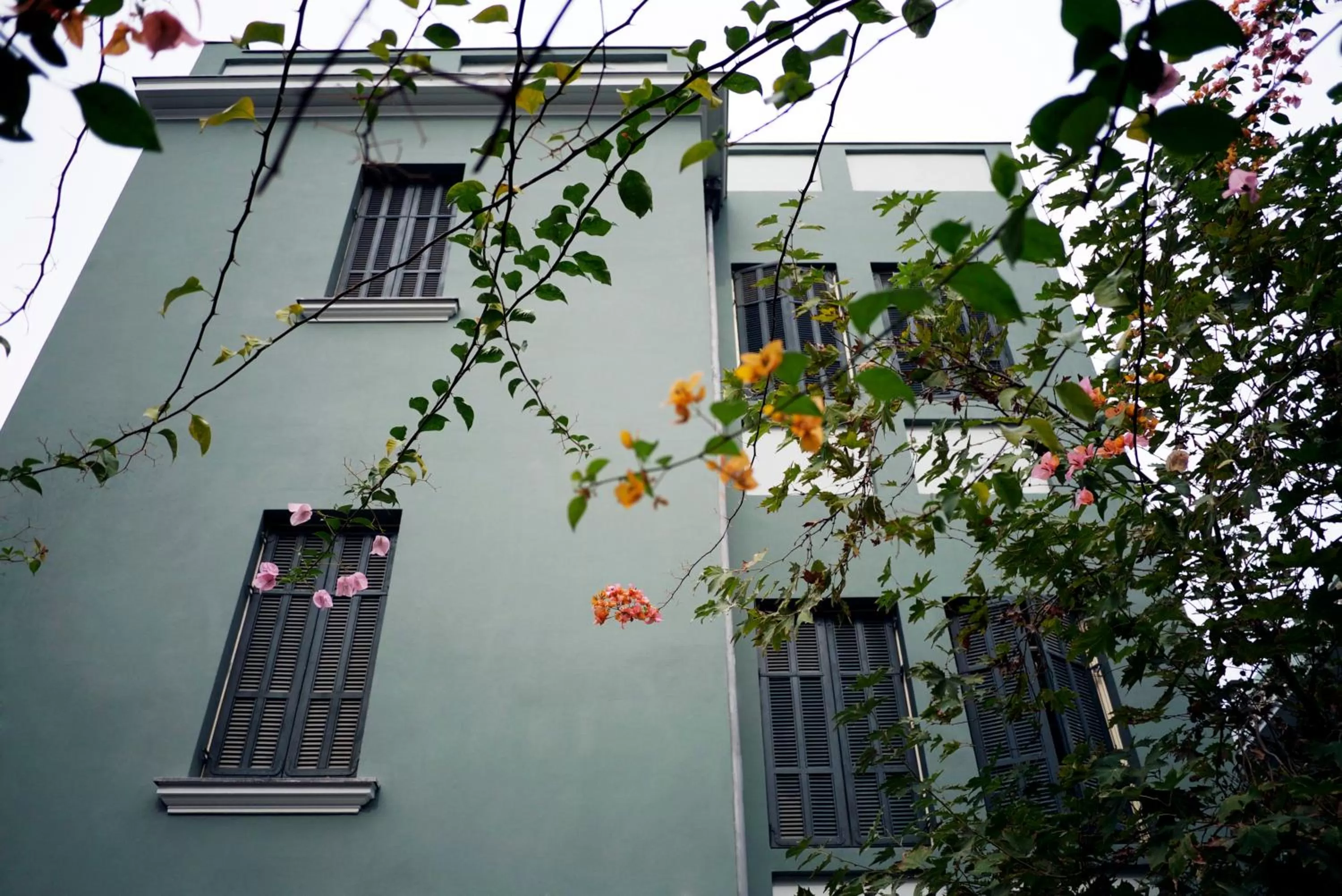 Restaurant/places to eat in Alma Boutique Hotel & Lounge