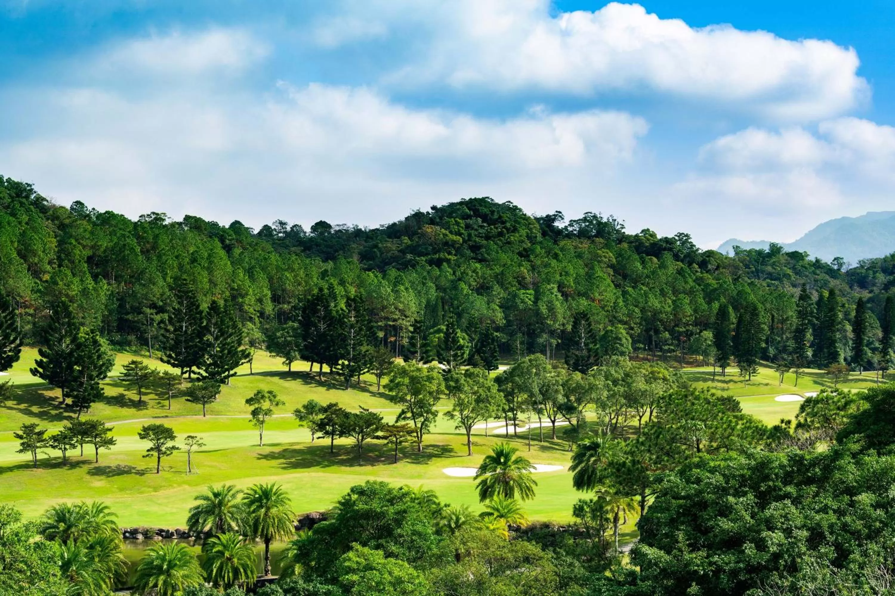 Photo of the whole room in The Westin Tashee Resort, Taoyuan