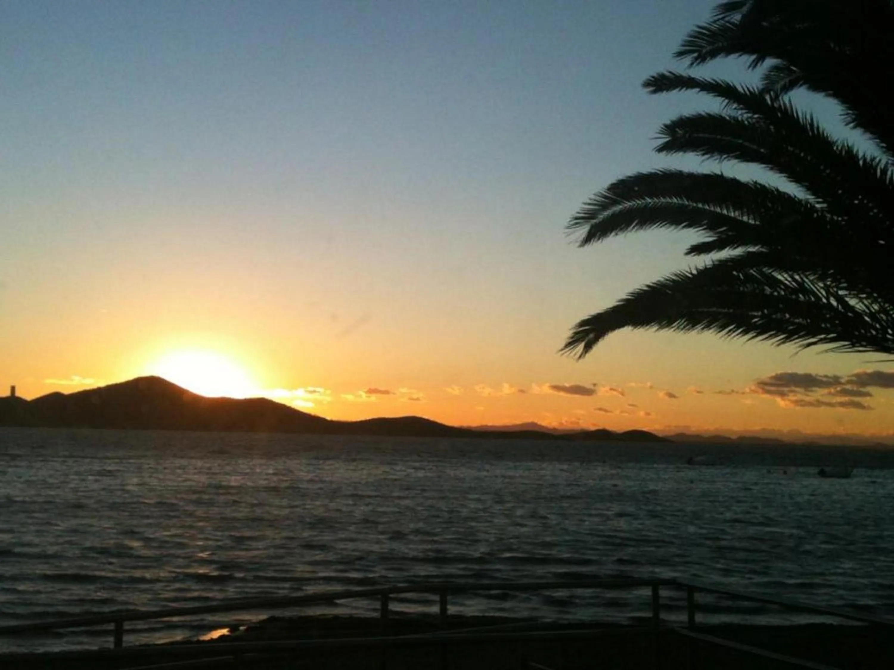 Area and facilities in Hotel Paloma