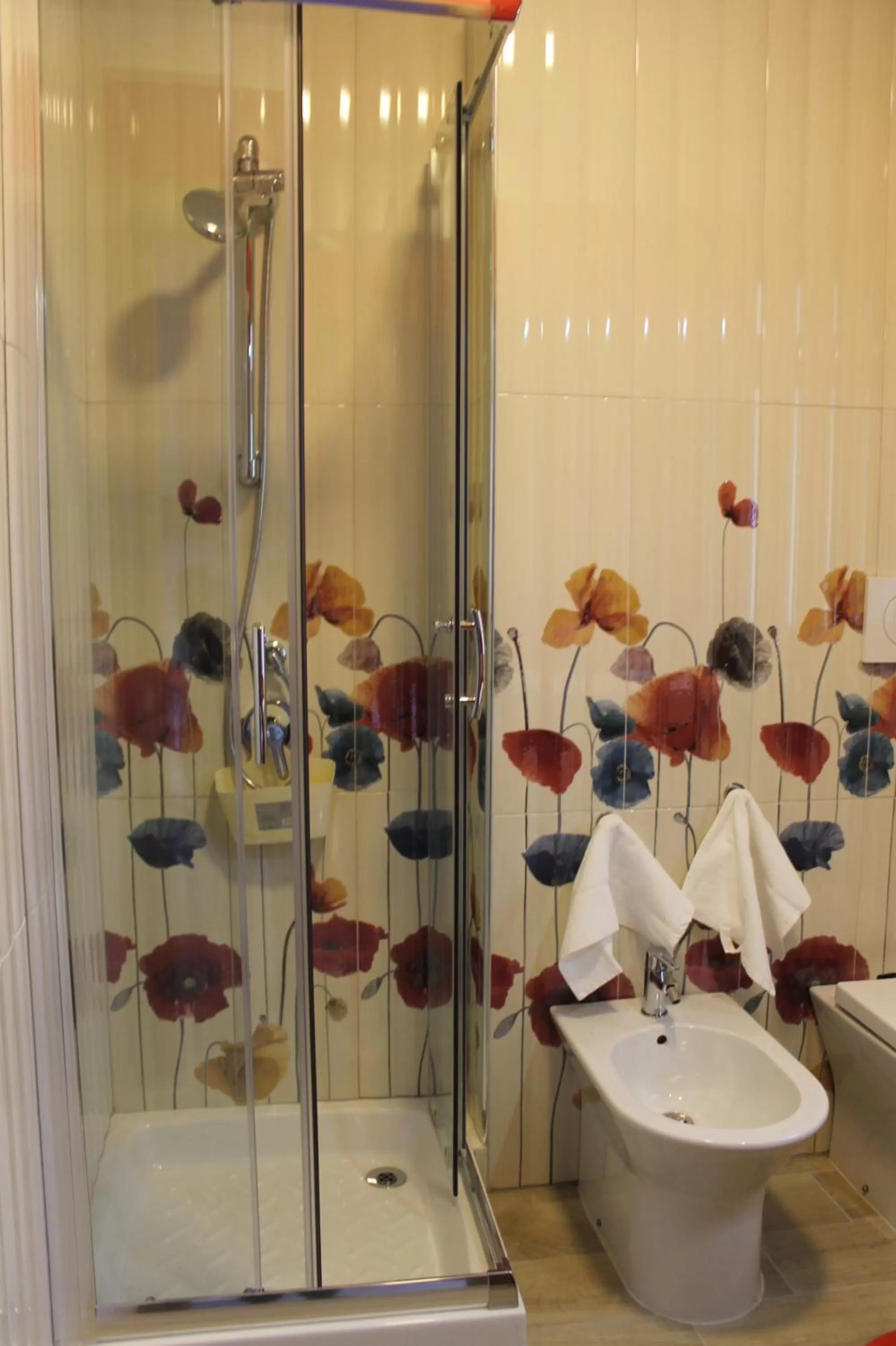 Shower in b&b Appiddaveru