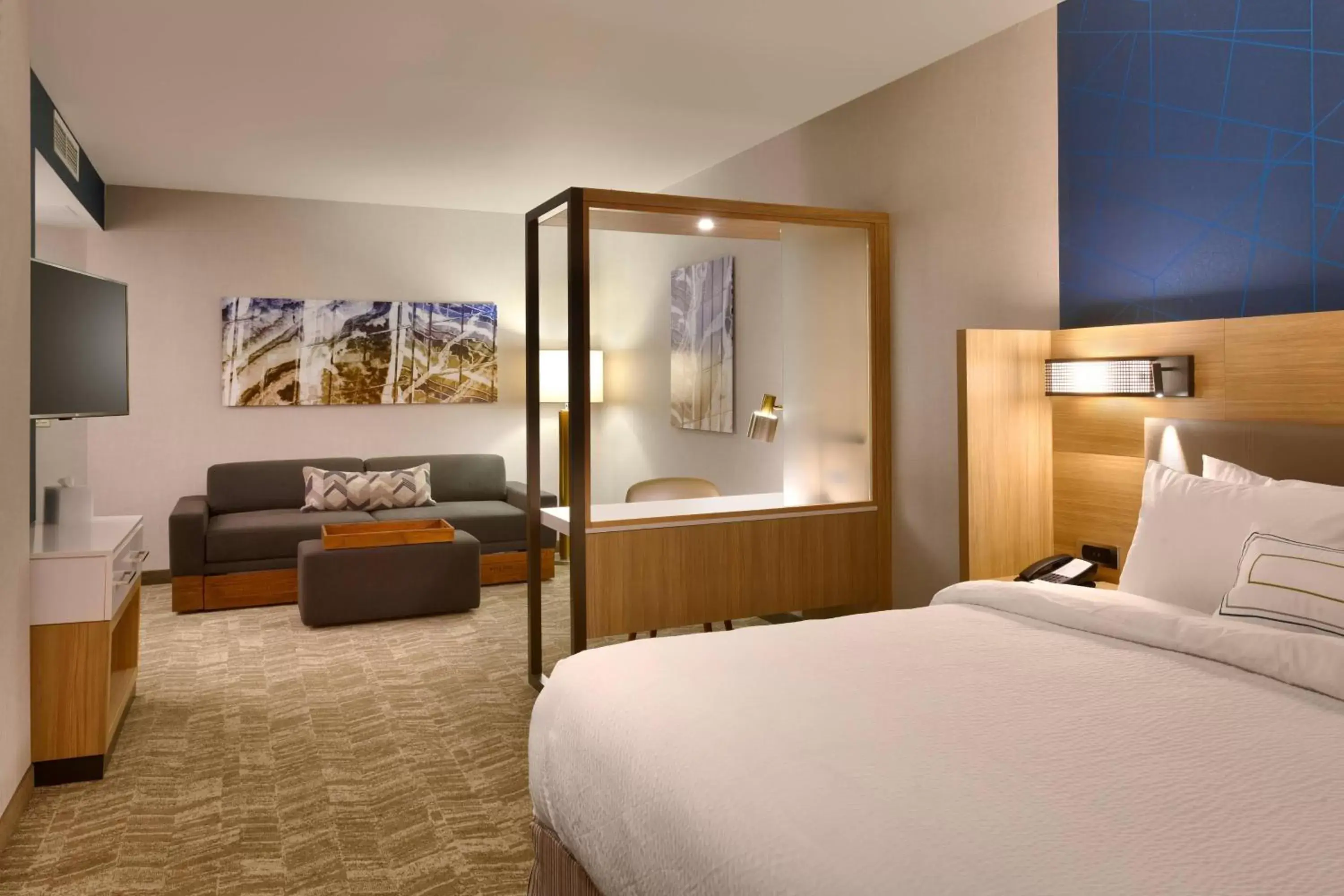 SpringHill Suites by Marriott Coralville SpringHill Suites by Marriott Coralville